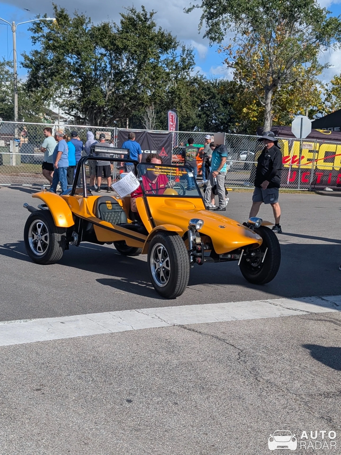 Meyers Manx spotted in Magaragadi, Nepal