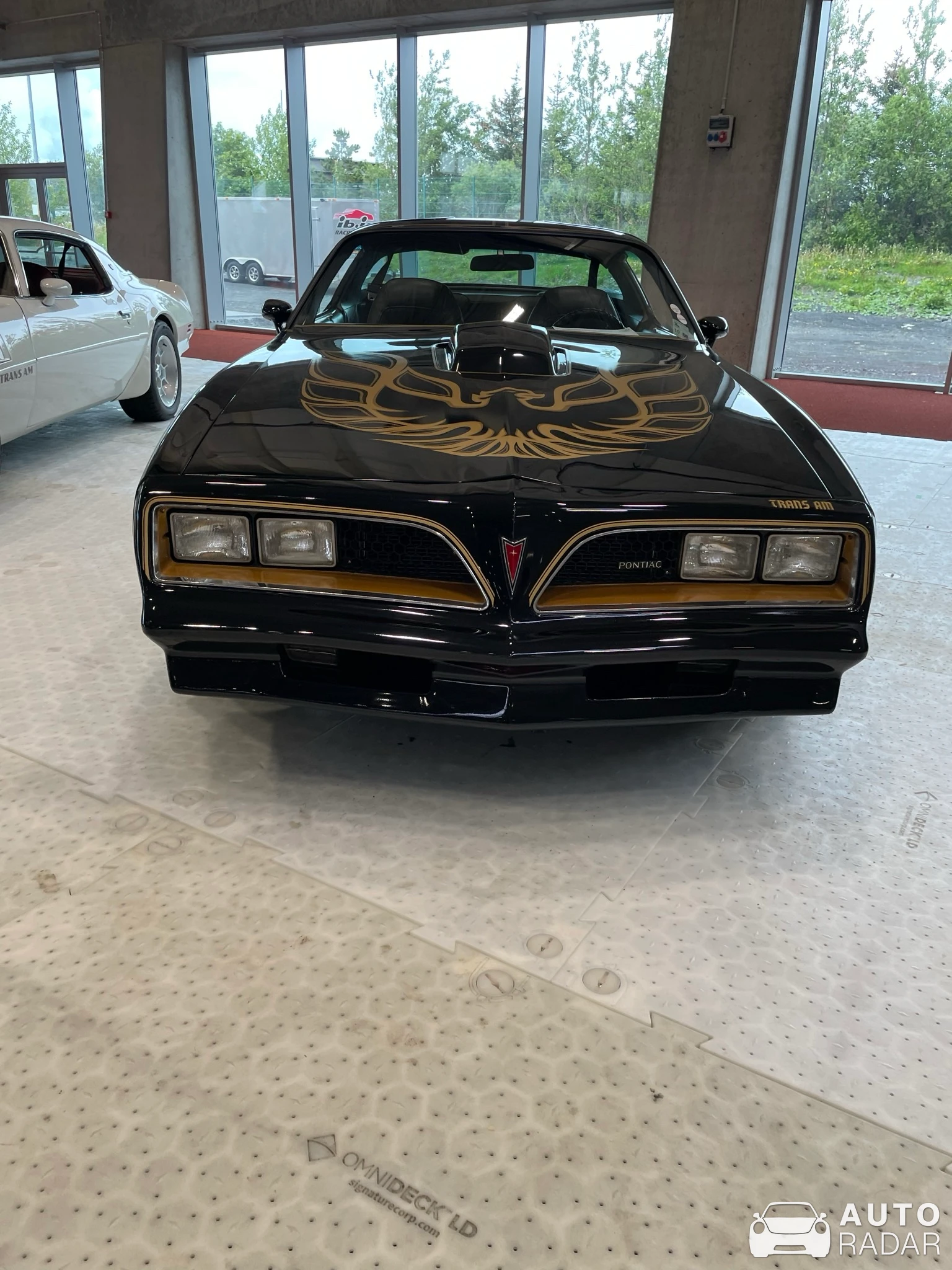 Pontiac Firebird spotted in Reykjavík, Iceland