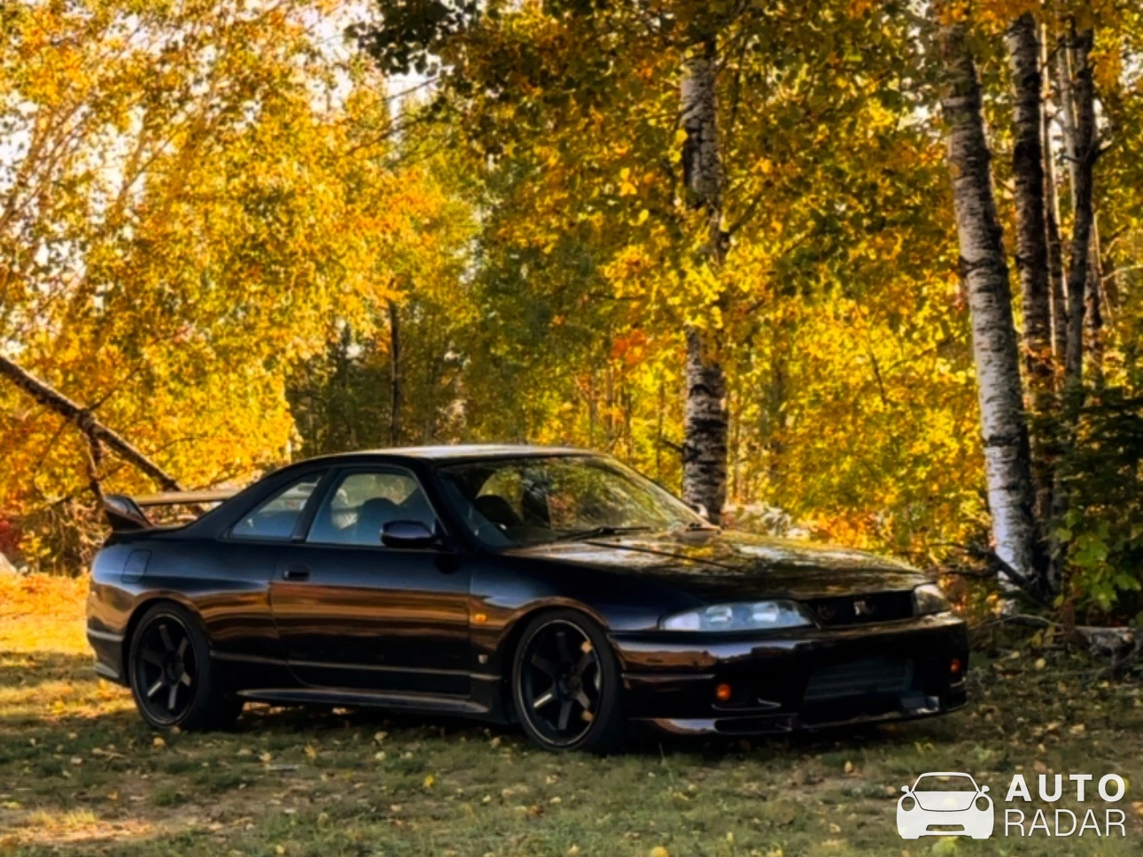 Nissan Skyline R33 GT-R V-Spec Midnight Purple spotted in Mont-Tremblant