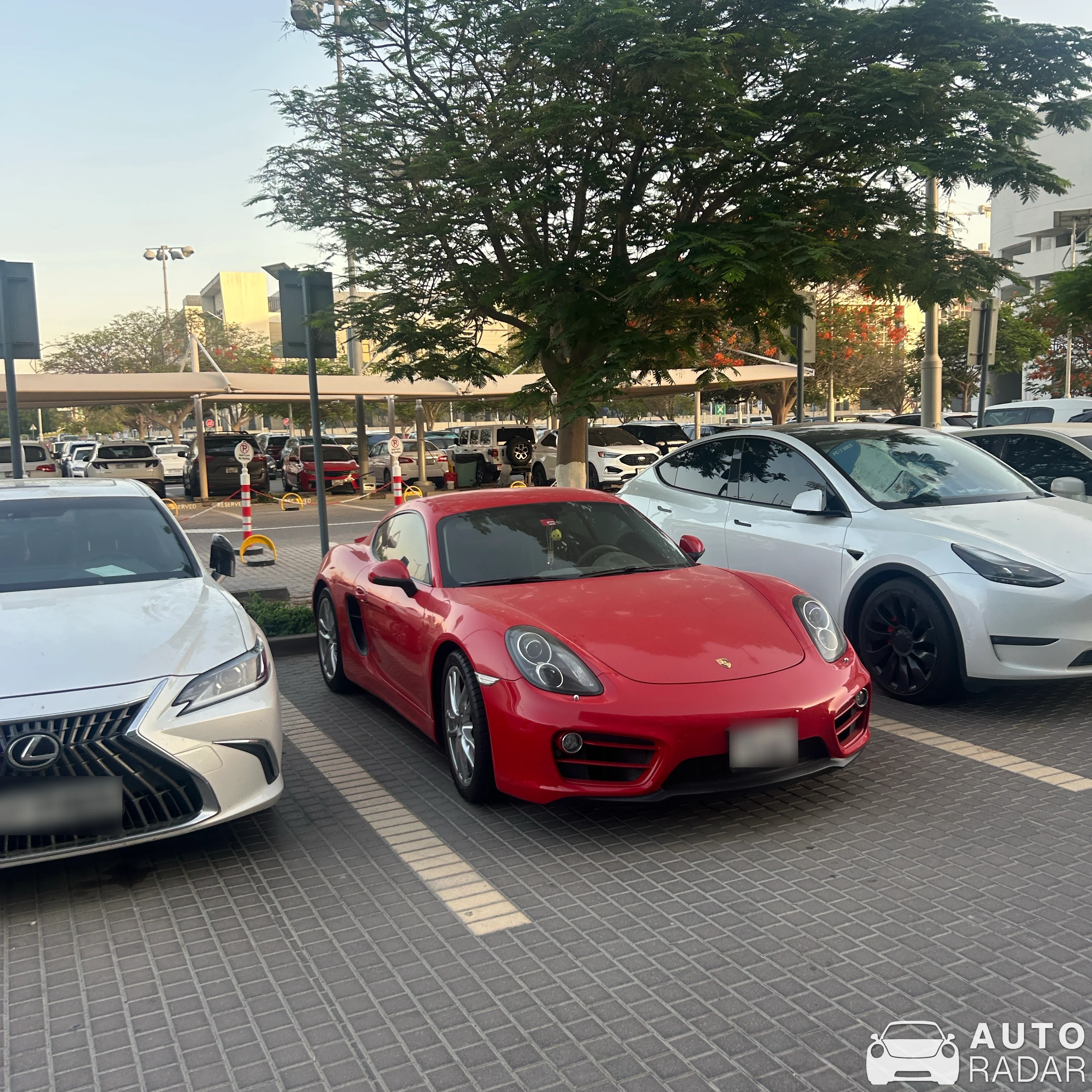 Porsche 981 Cayman spotted in Dubai, United Arab Emirates