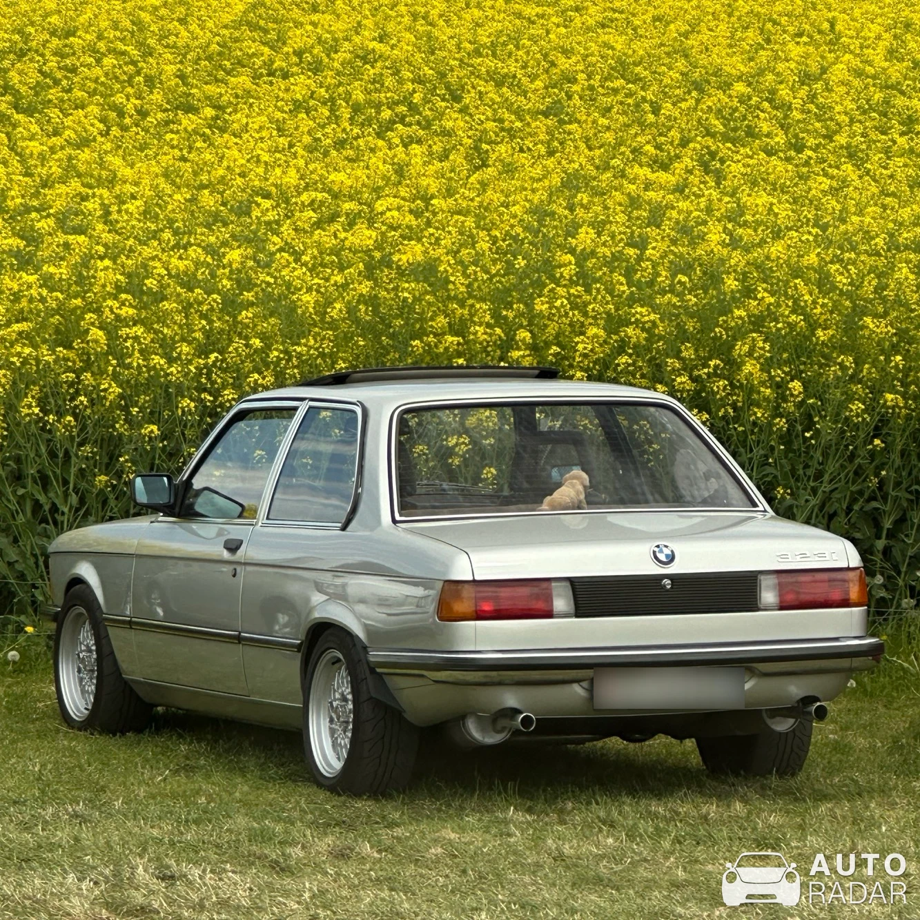 BMW 323i E21 spotted in Rudolfstetten-Friedlisberg