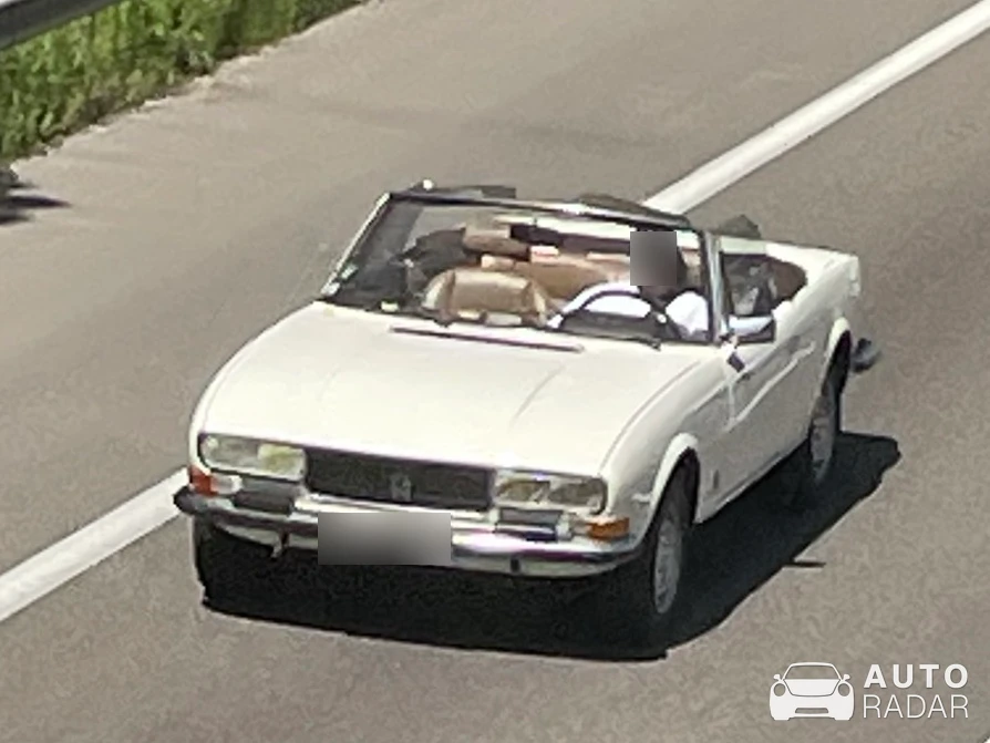Peugeot 504 Cabriolet spotted in Dommartin-lès-Toul