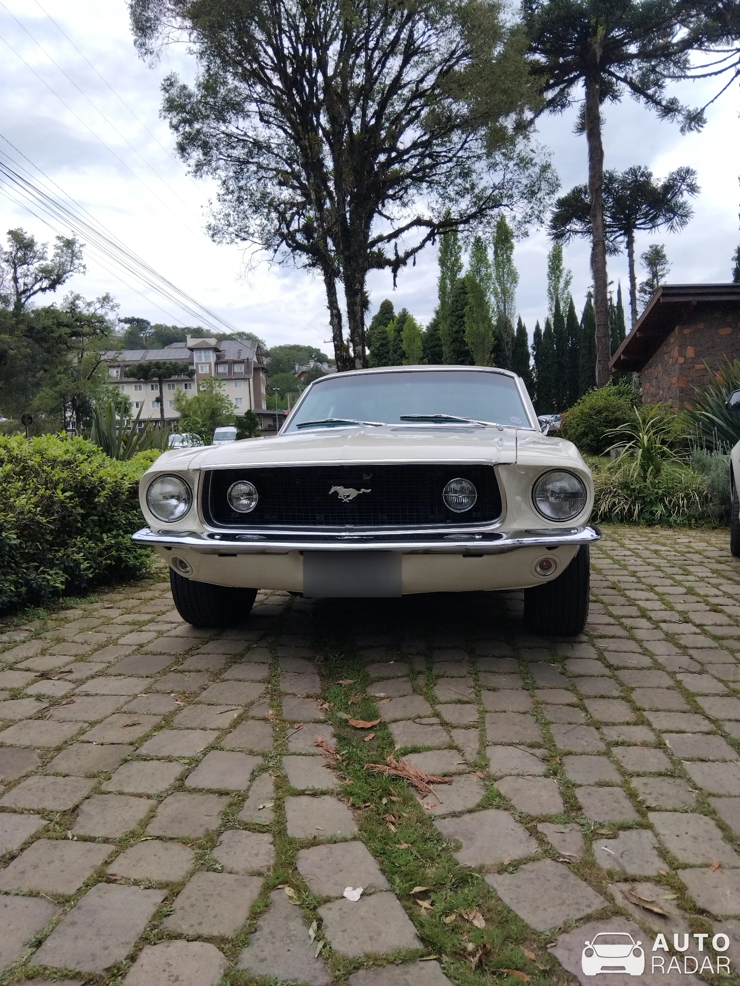 Ford Mustang GT spotted in Gramado, Brazil