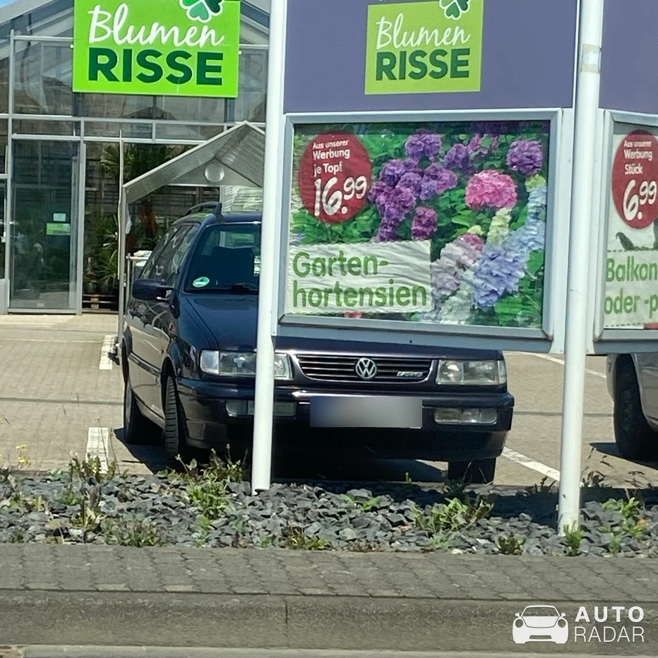 Volkswagen Passat B4 GLX VR6 Wagon spotted in Mülheim-Kärlich