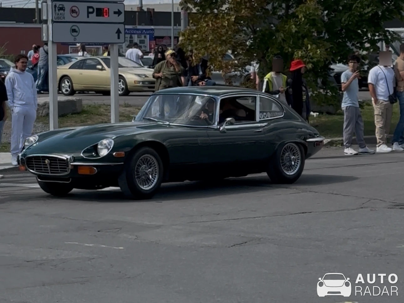 Jaguar E-Type Series 3 V-12 spotted in Mont-Royal