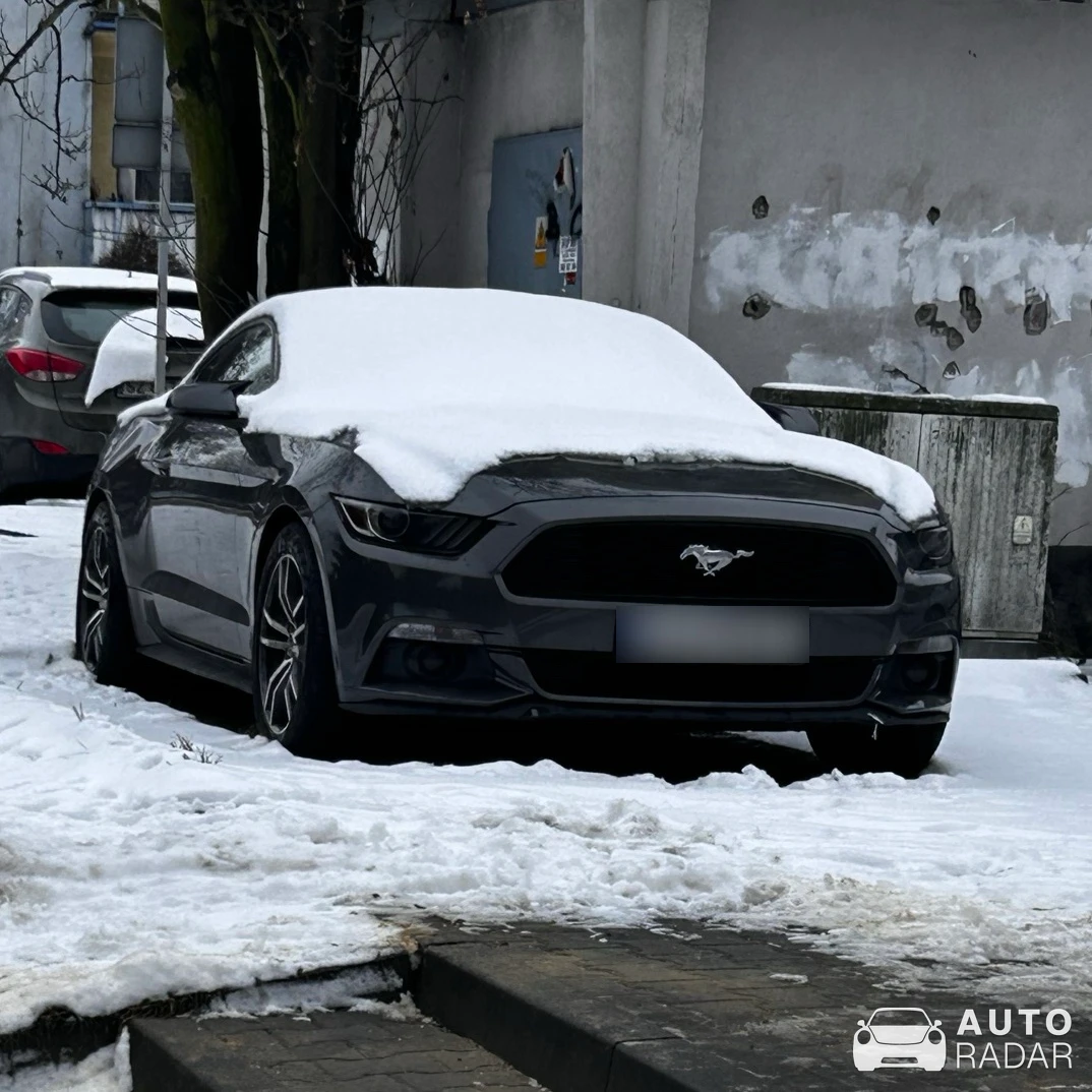 Ford Mustang 2.3 Ecoboost spotted in Bielsko-Biała, Polen