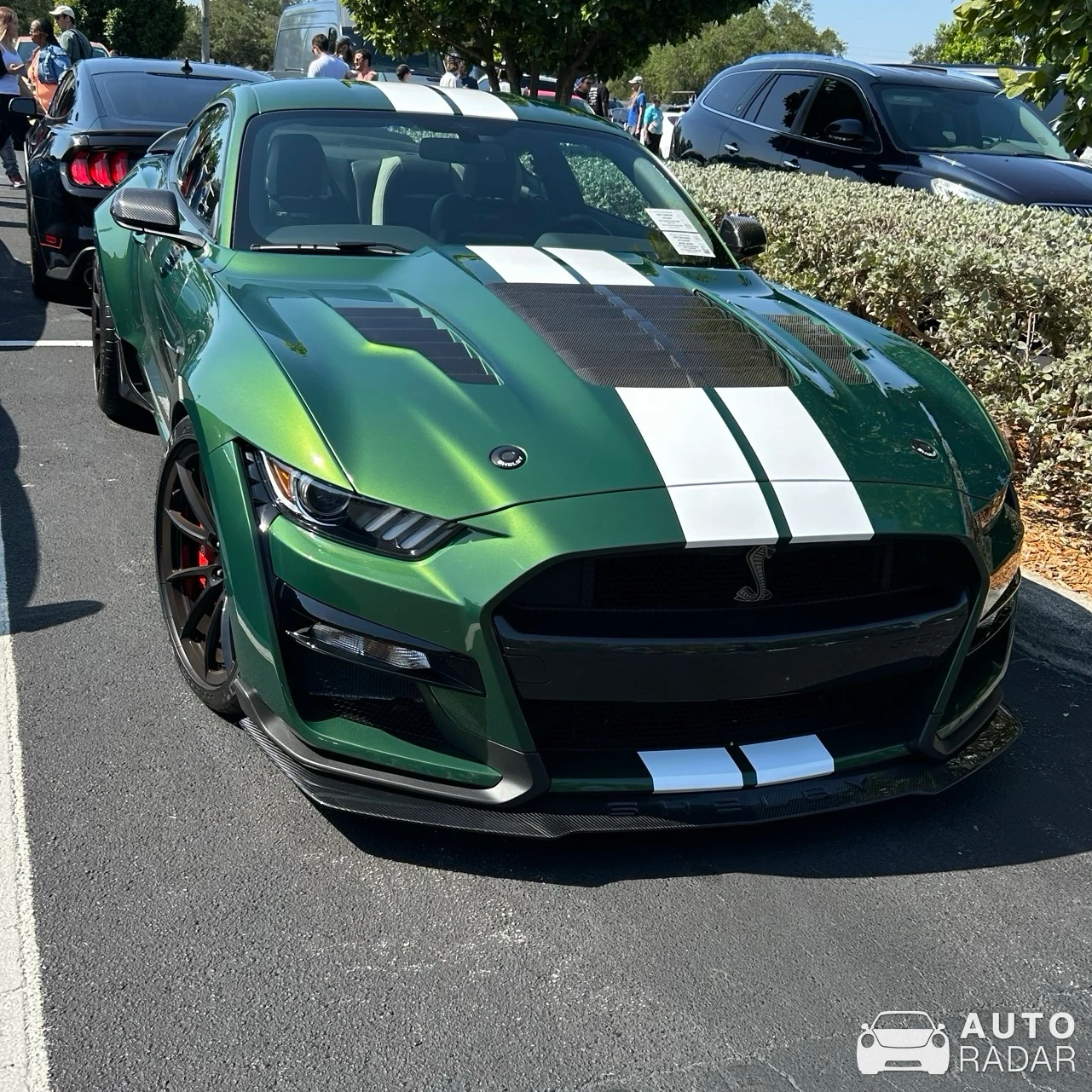 Ford Mustang Shelby GT500 spotted in Hollywood, United States