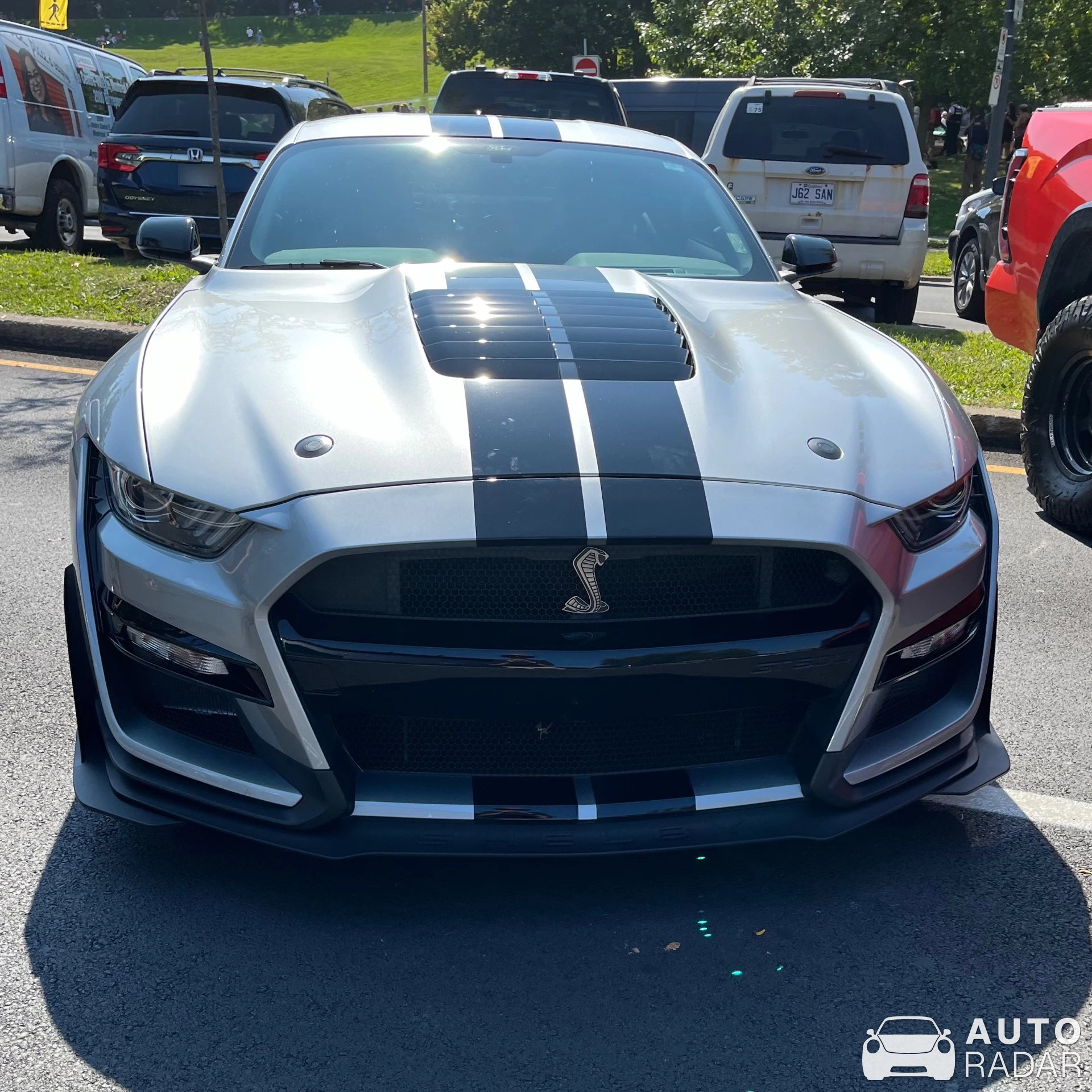 Ford Mustang Shelby GT500 spotted in Montréal, Canada