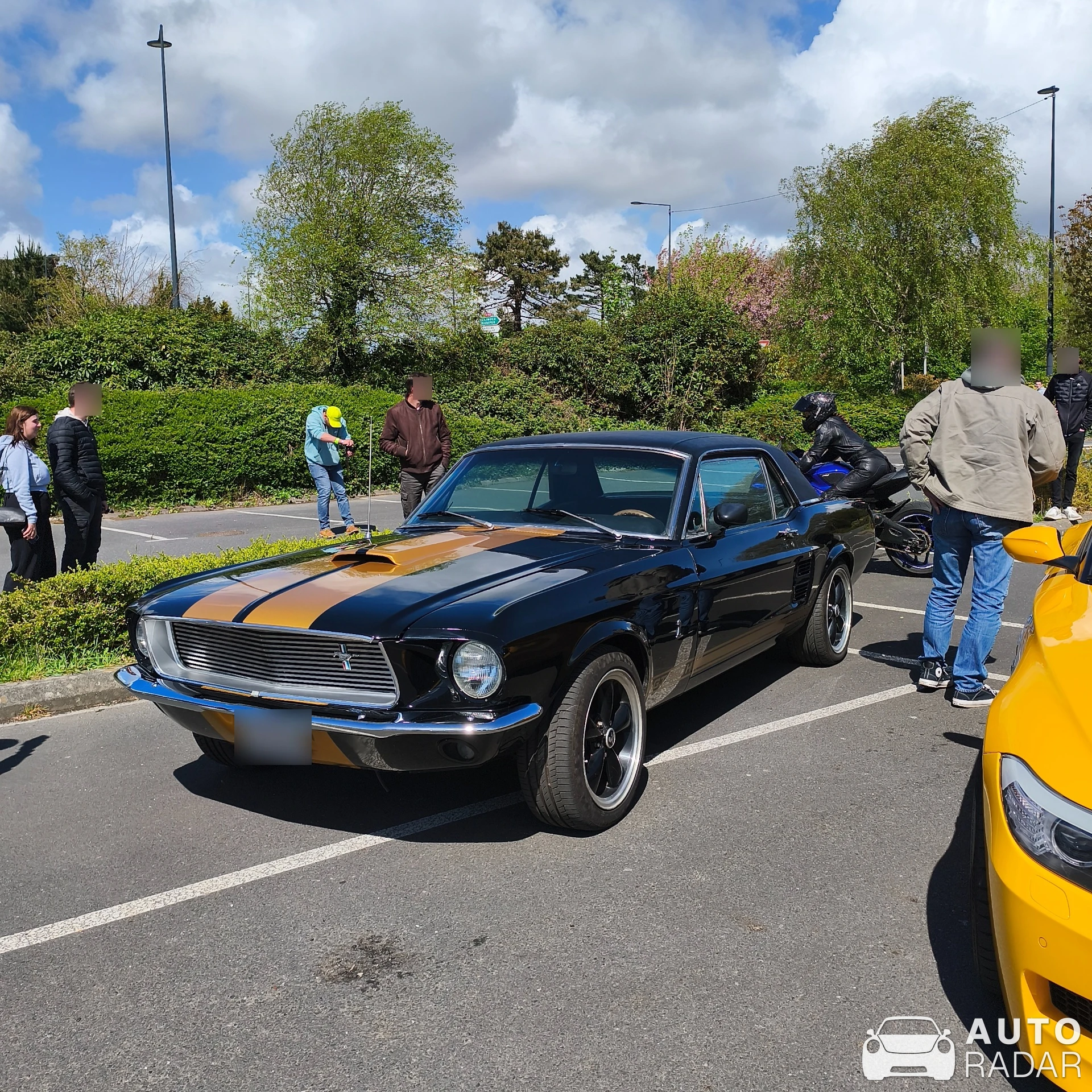 Ford Mustang GT350-H spotted in Plougastel-Daoulas