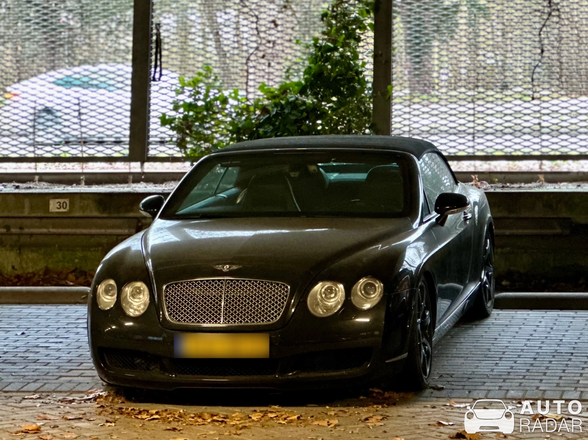 Bentley Continental GTC spotted in Leidschendam, Netherlands