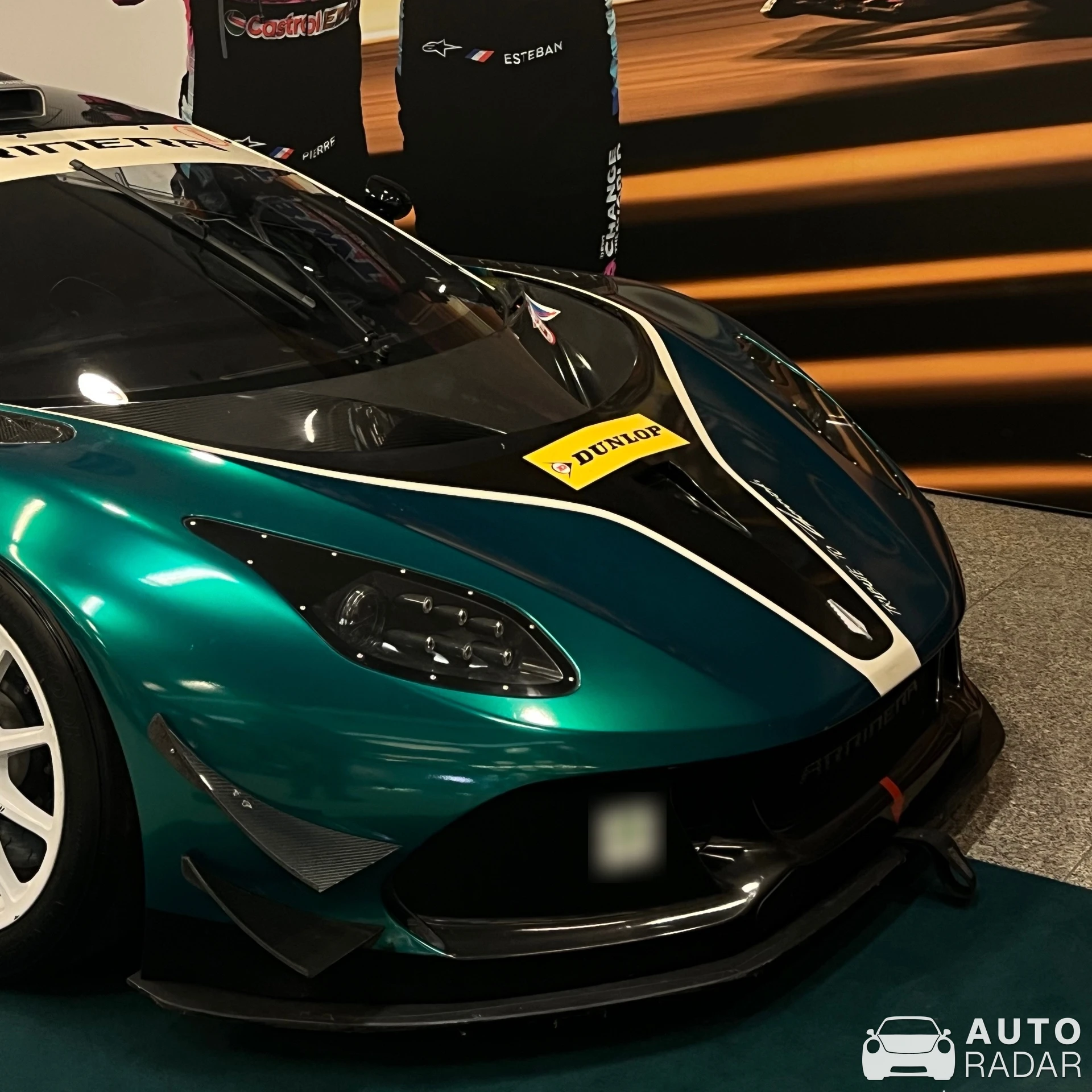 Arrinera Hussarya spotted in Warszawa