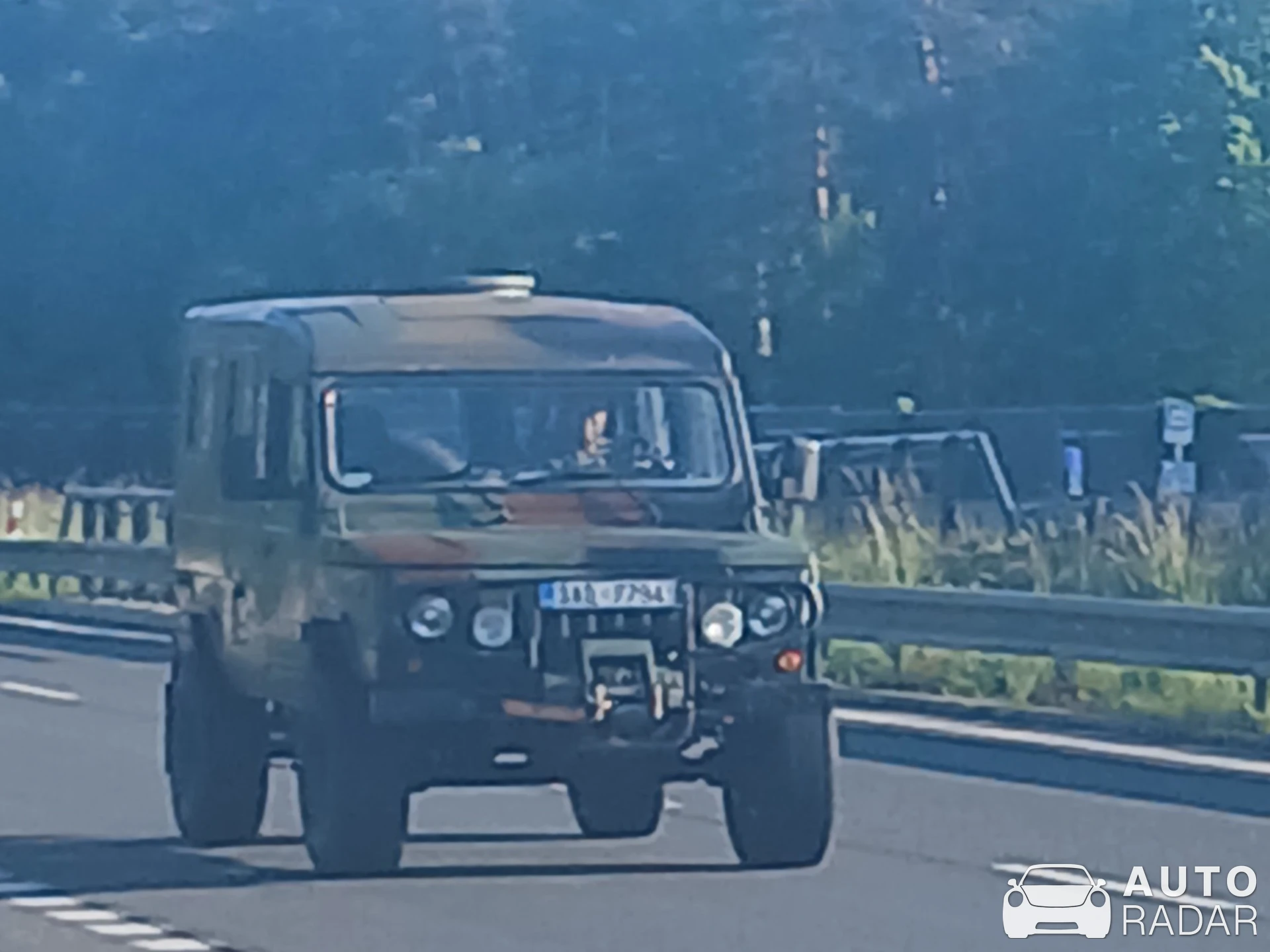 Tarpan Honker spotted in Sosnová