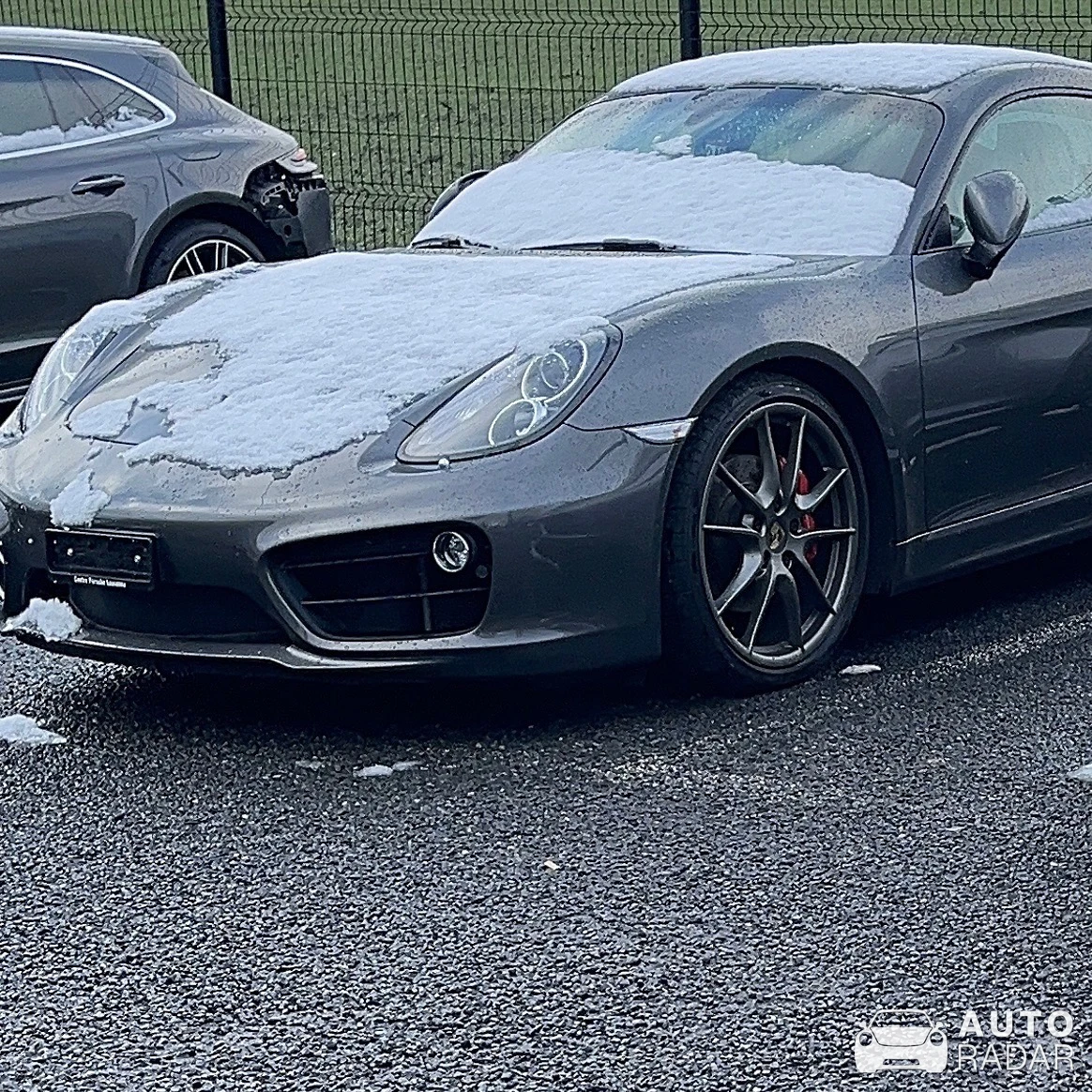 Porsche 981 Boxster spotted in Le Grand-Saconnex, Suiza