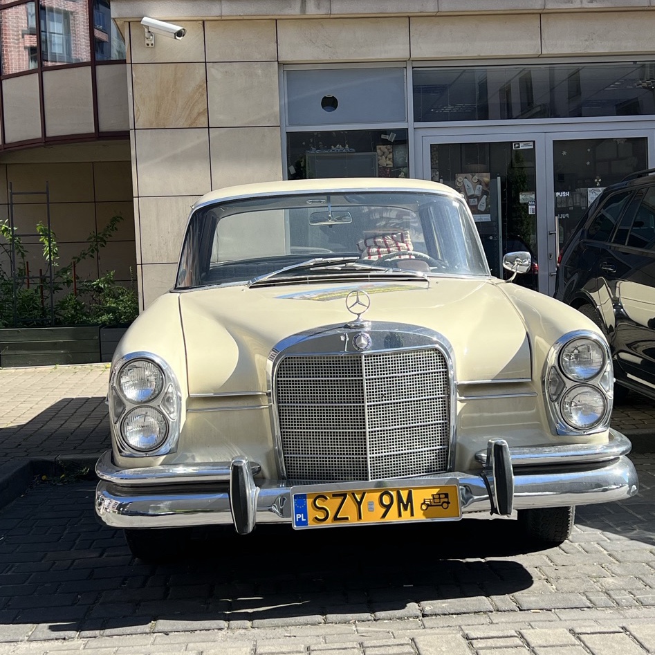 Mercedes-Benz 220S