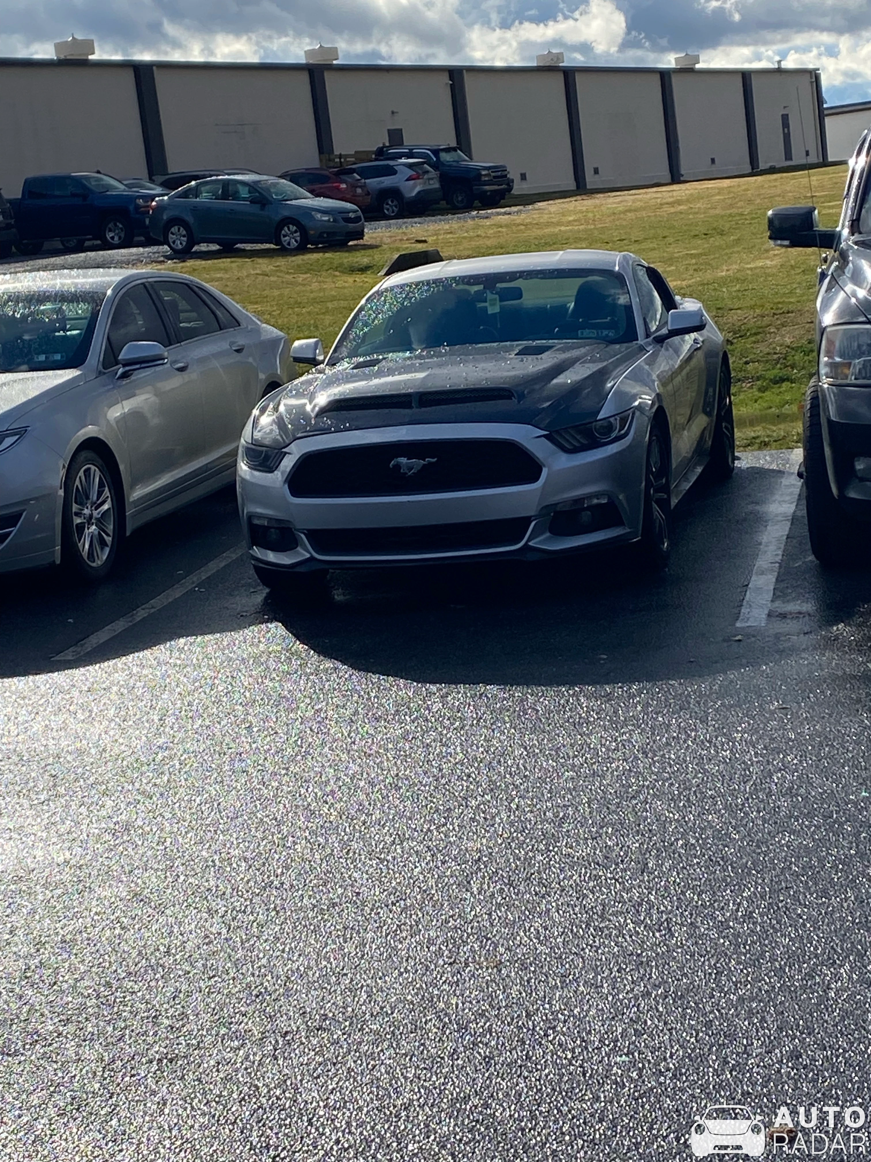Ford Mustang GT 2015 spotted in Wyomissing