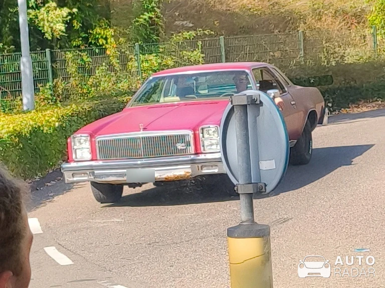 Chevrolet Chevelle spotted in 's-Hertogenbosch