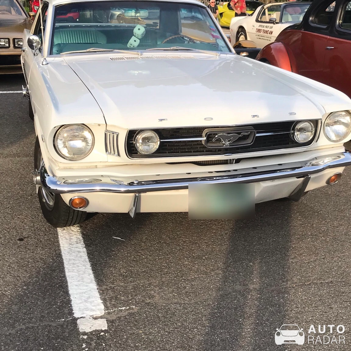 Ford Mustang GT Boss 281 spotted in L'Ancienne-Lorette