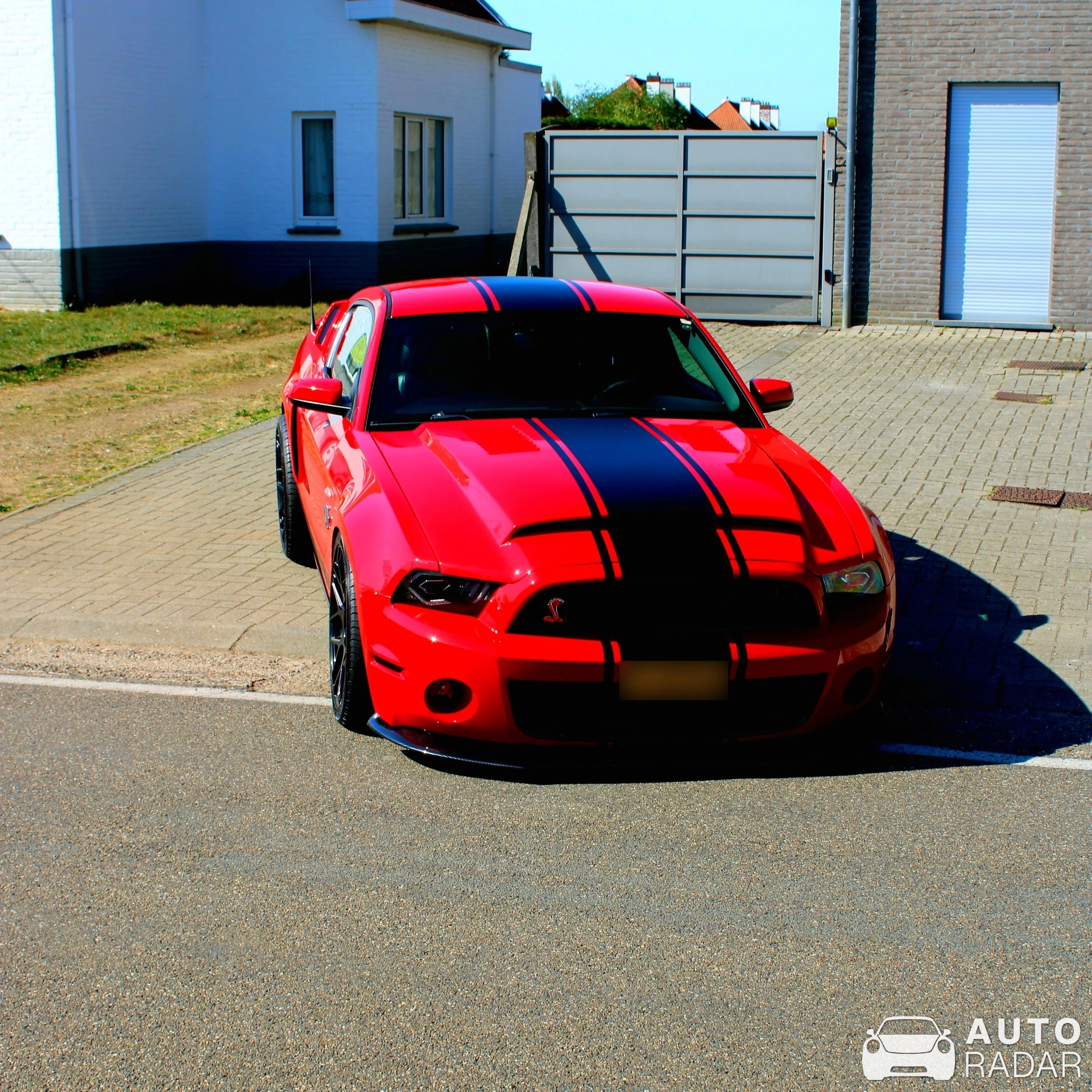Ford Mustang Shelby GT500 Super Snake 2013 spotted in Heusden-Zolder