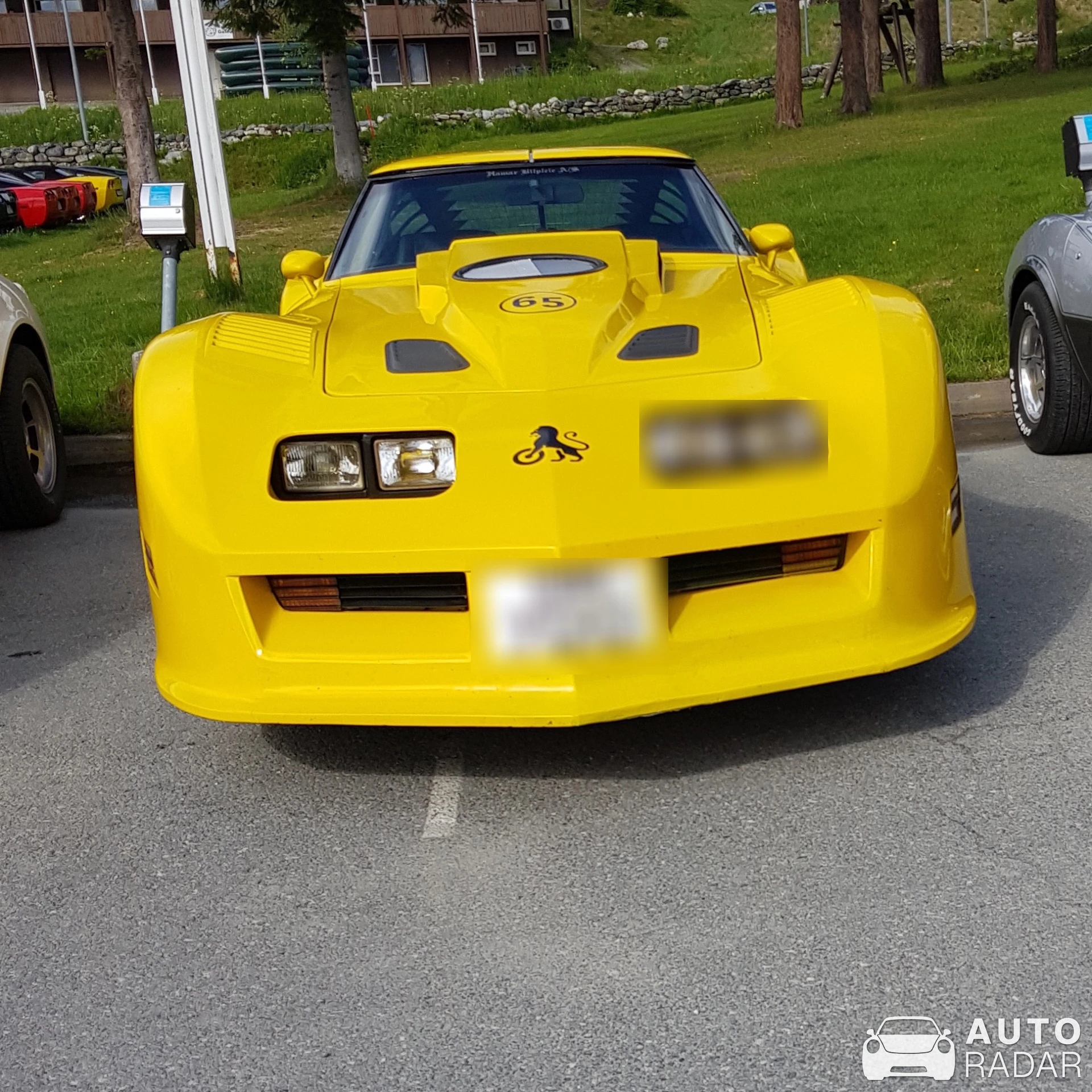 Chevrolet Corvette C3 Stingray spotted in Røros, Norge