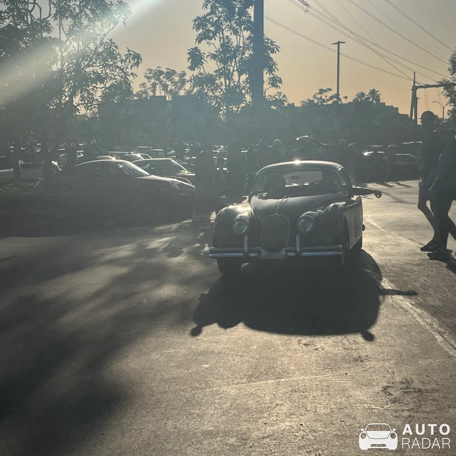 Alfa Romeo 6C 2300 Pescara spotted in Hermosa Beach