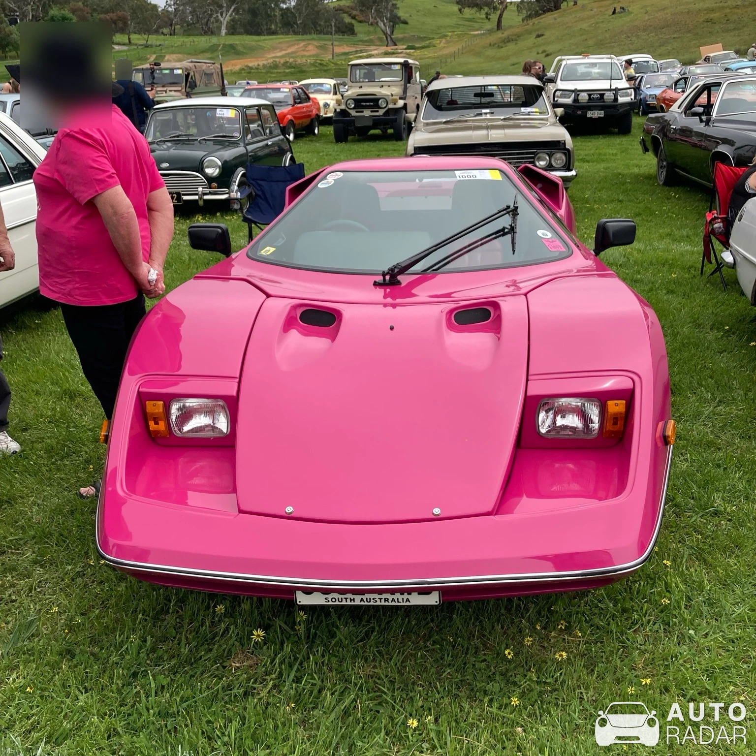 Purvis Eureka spotted in Urrbrae