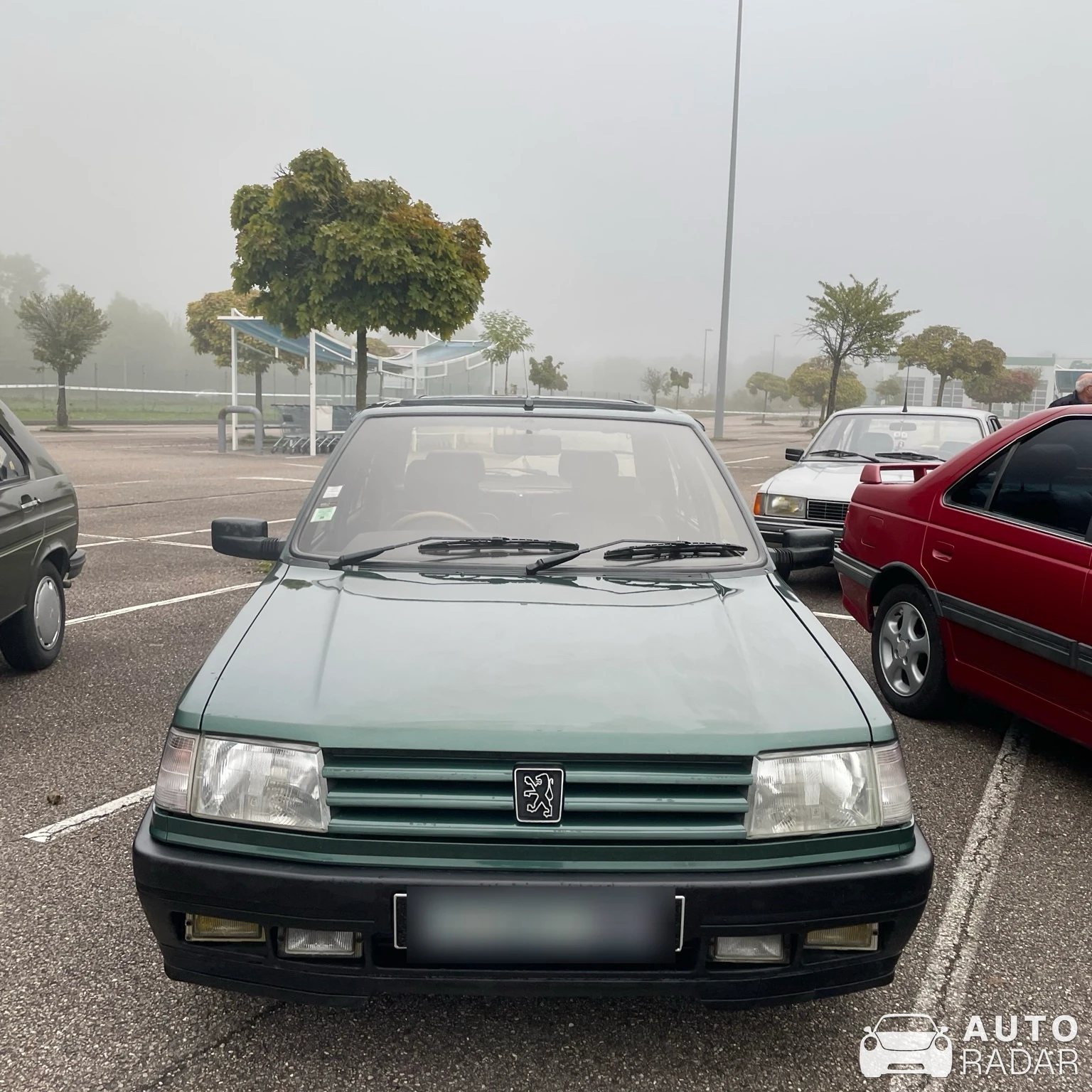Peugeot 405 Mi16 spotted in Dommartin-lès-Toul