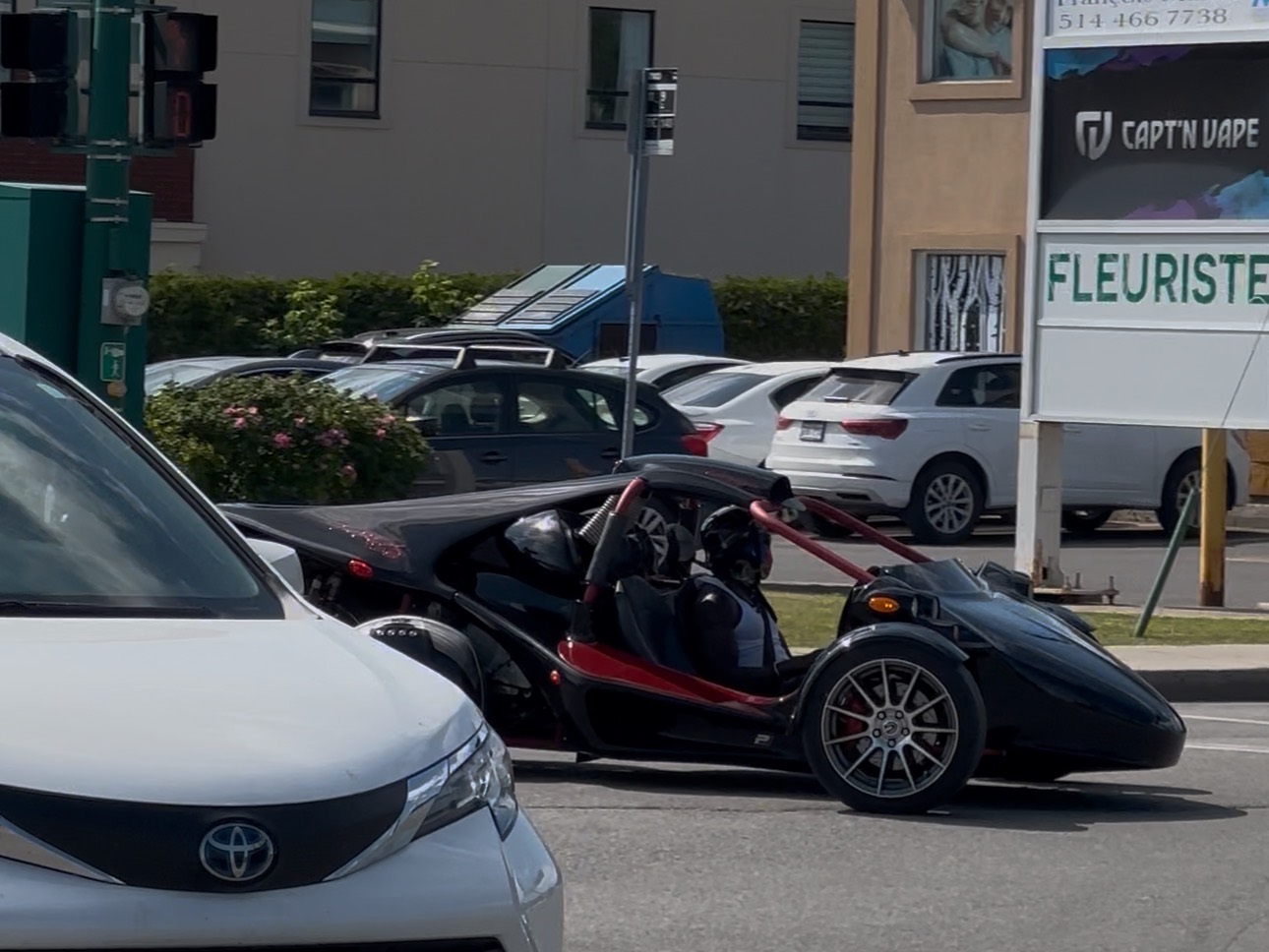 Campagna T-Rex 20th Anniversary Edition