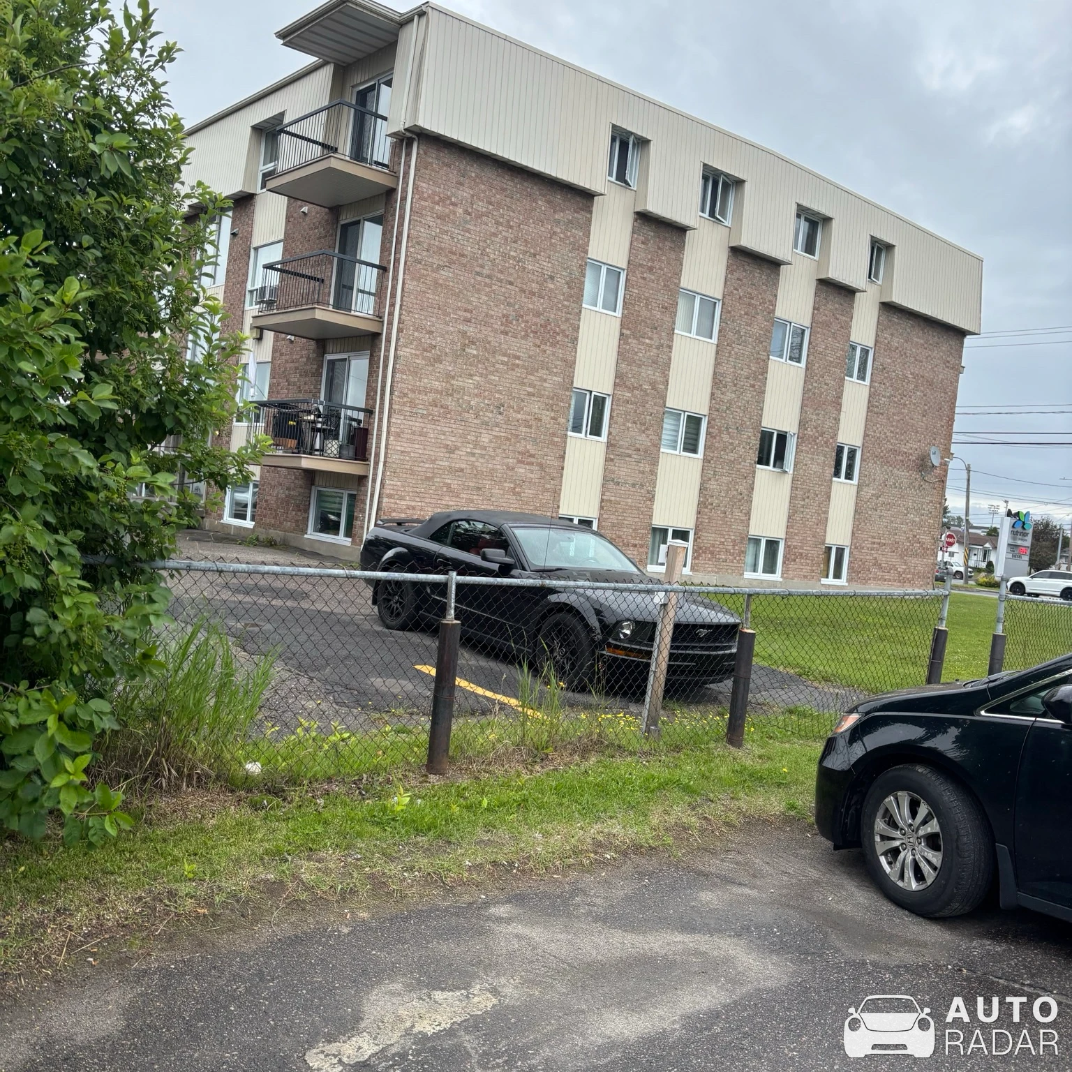 Ford Mustang GT spotted in Alma