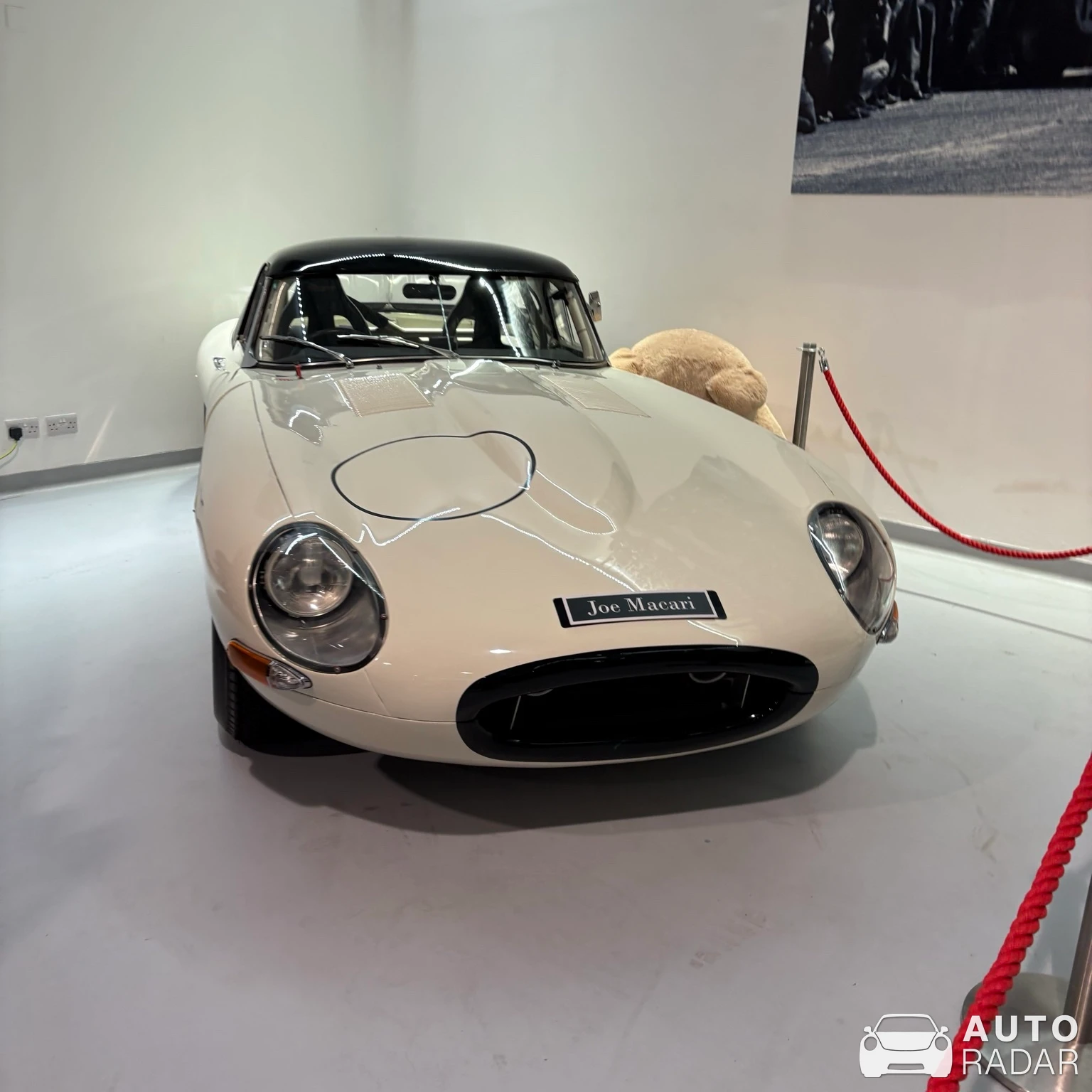 Jaguar E-Type Lightweight spotted