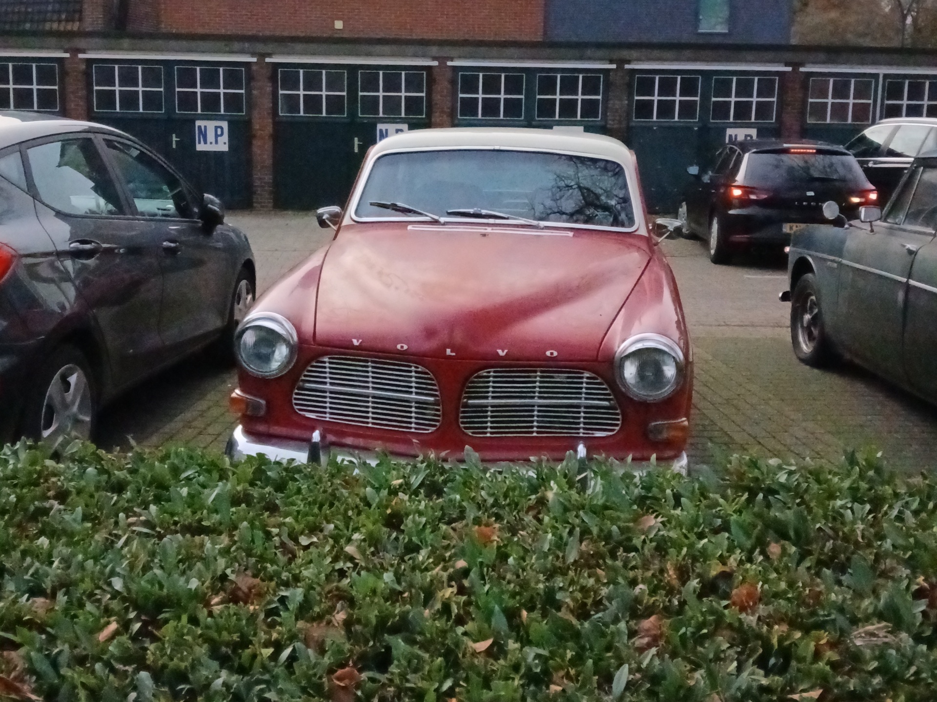 Volvo Amazon 123GT