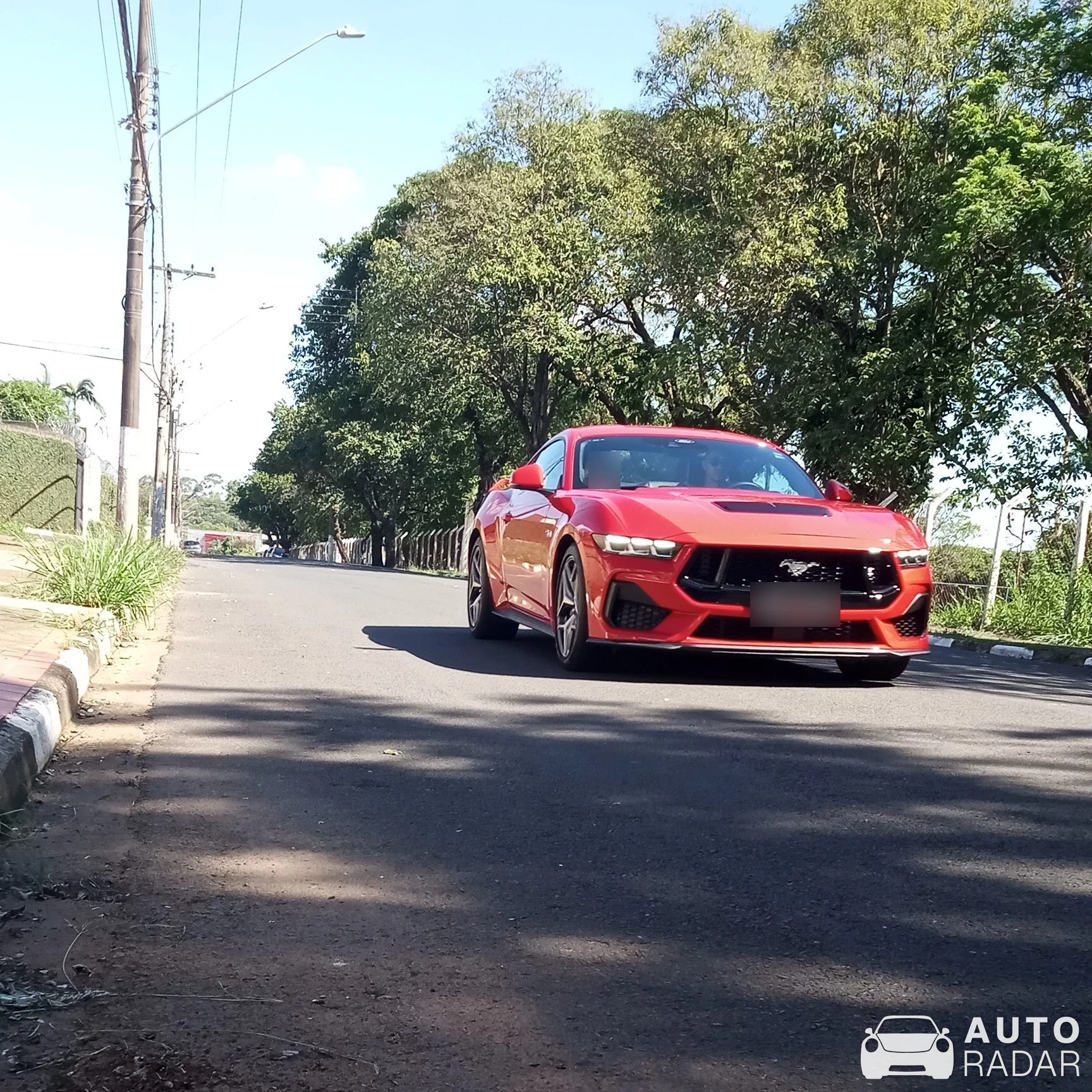 Ford Mustang Shelby GT500 spotted in Jardim 31 de Marco, Brazil