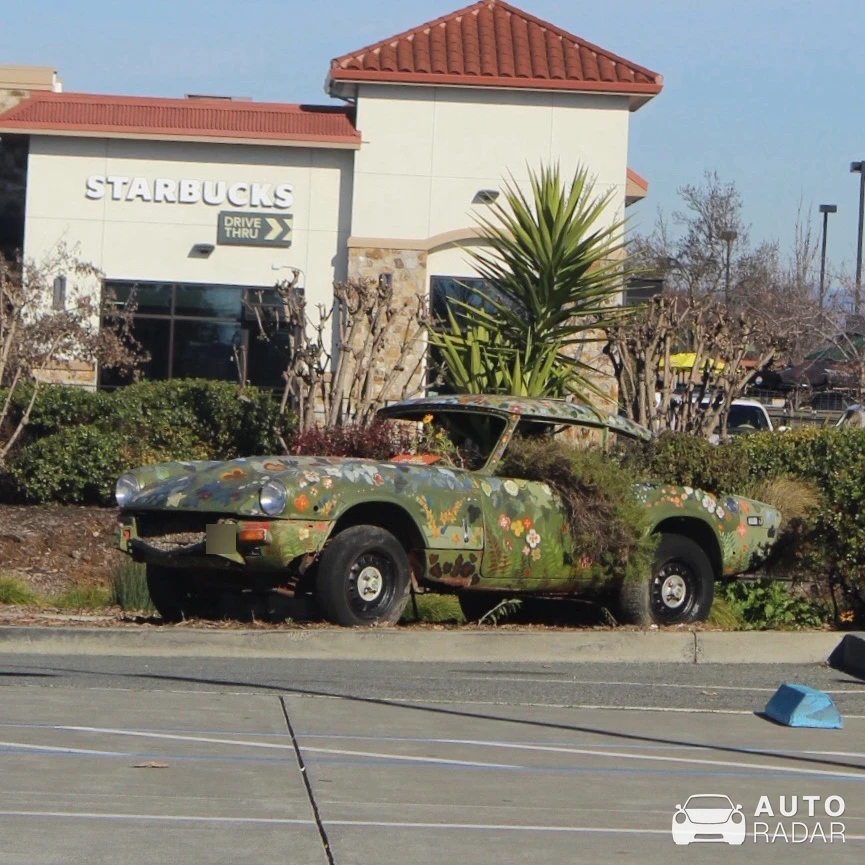 Triumph TR6 spotted in Sears Point