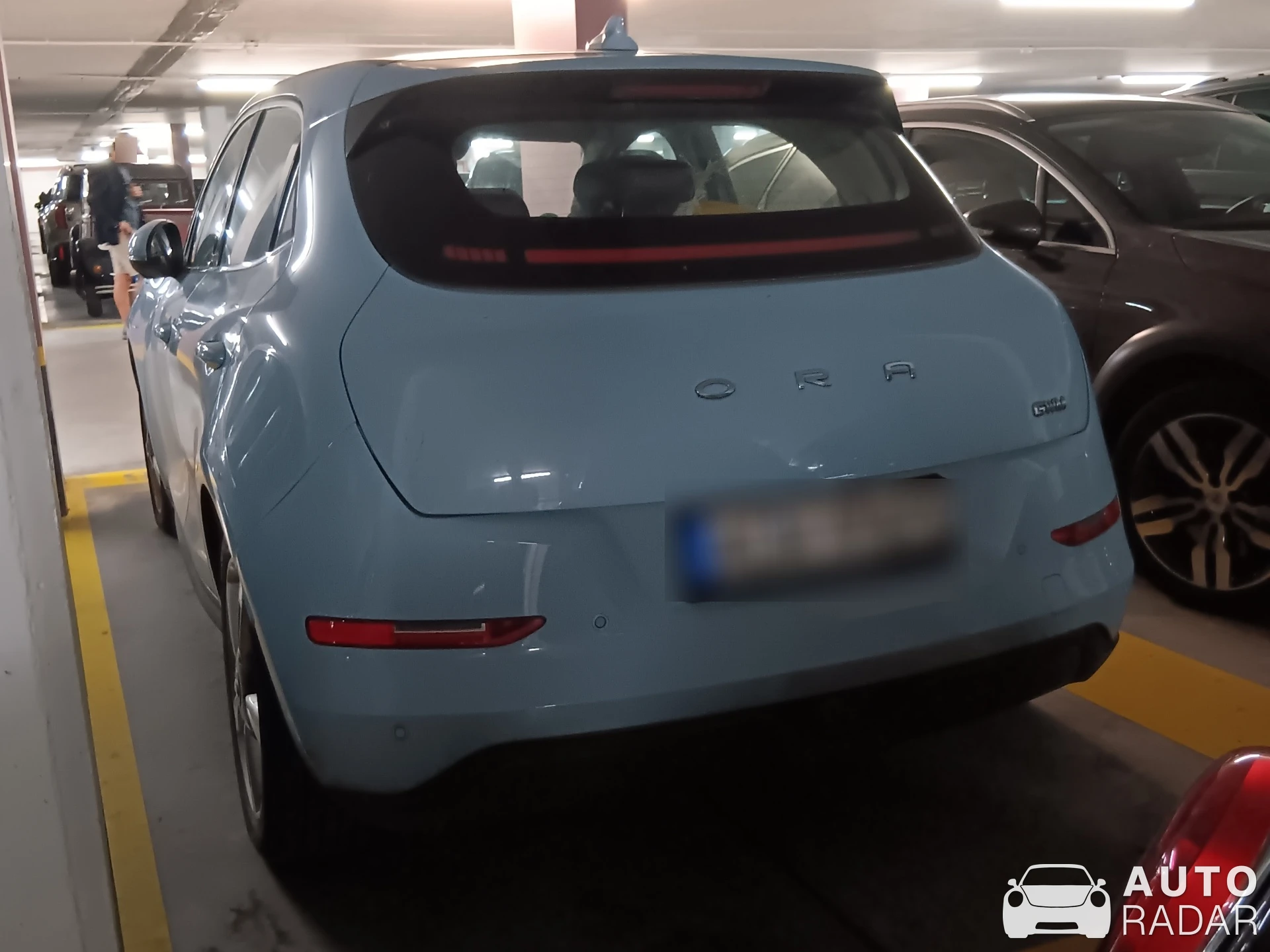 Ora Good Cat spotted in Knokke-Heist