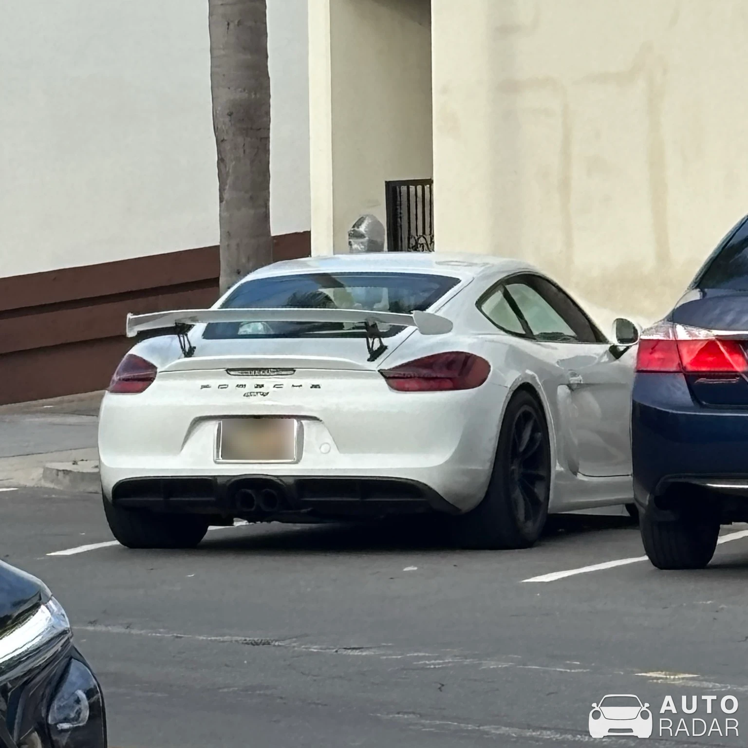 Porsche 981 Cayman GT4 spotted in Manhattan Beach, United States