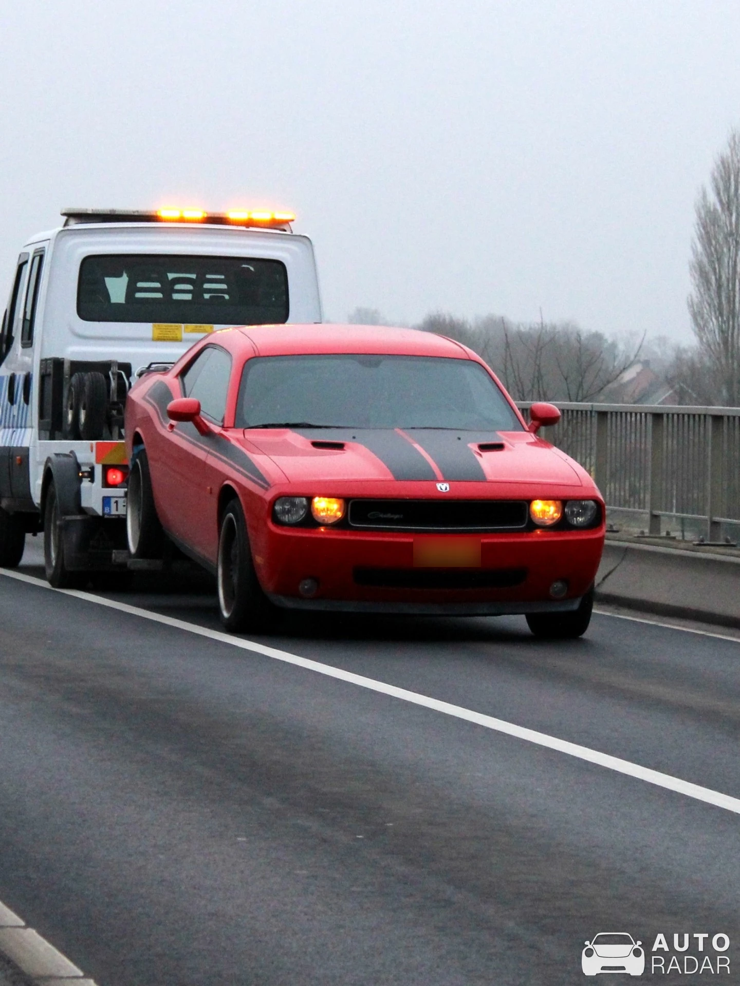 Dodge Challenger spotted in Brecht, België