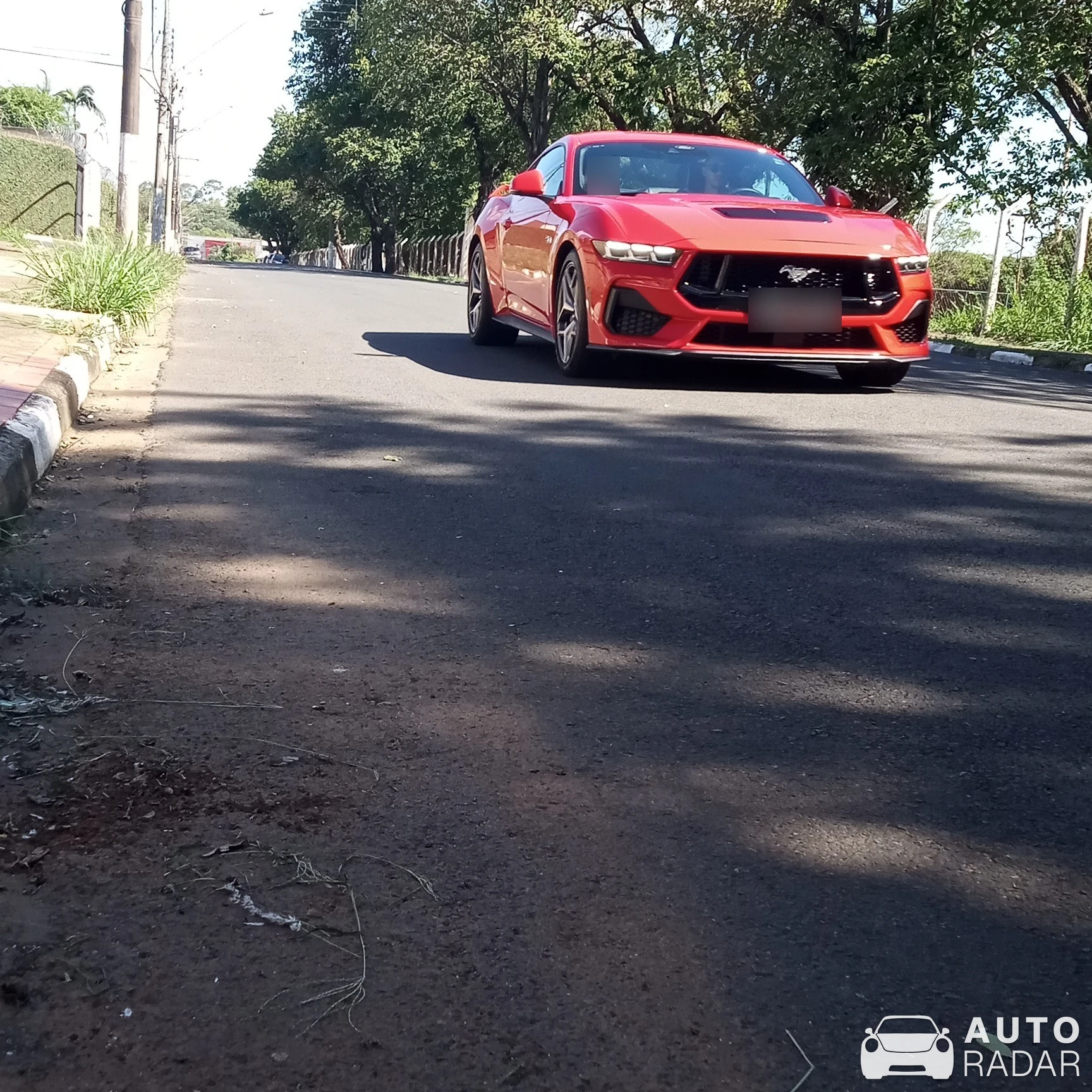 Ford Mustang GT spotted in Jardim 31 de Marco, Brazil