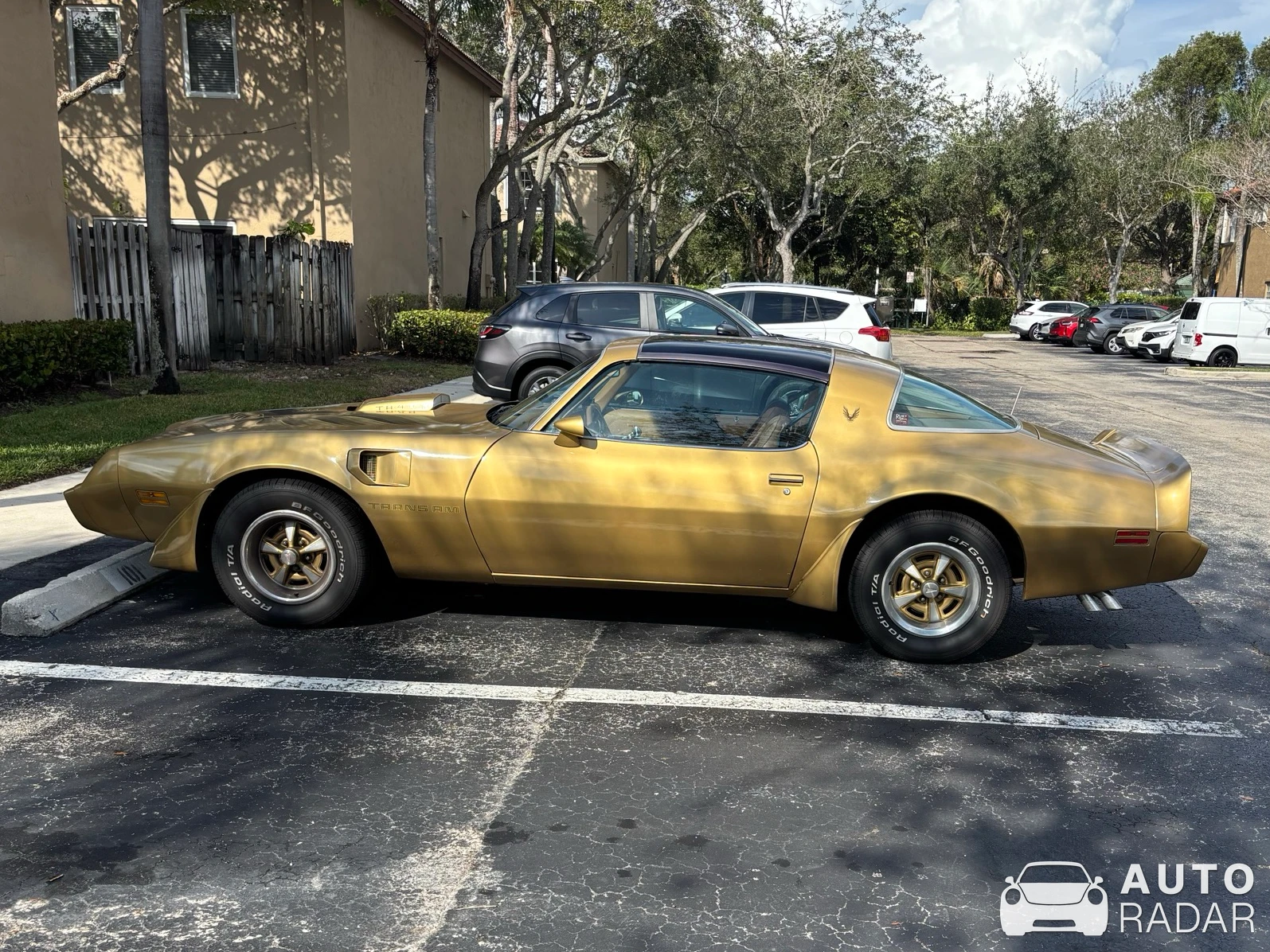 Pontiac Trans Am spotted in Weston, United States