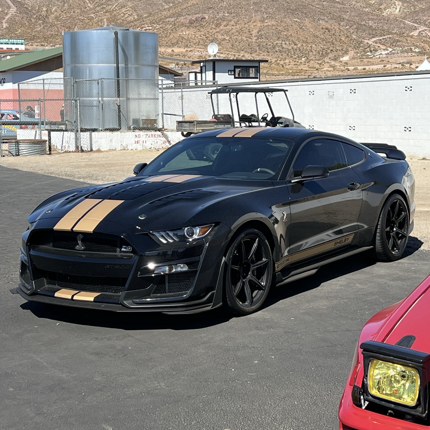 Ford Mustang Shelby GT500-H