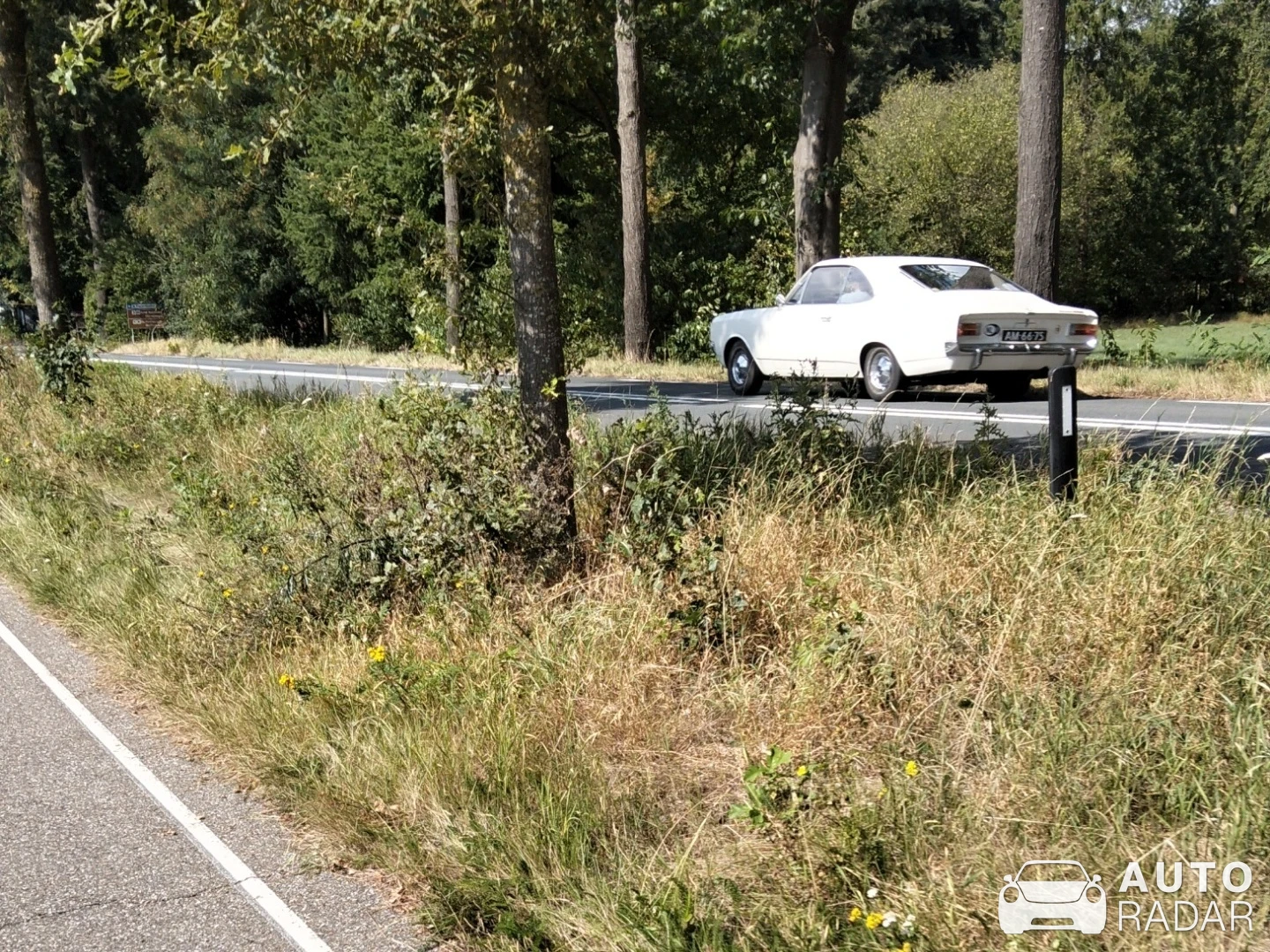 Opel Rekord D spotted in Zelhem