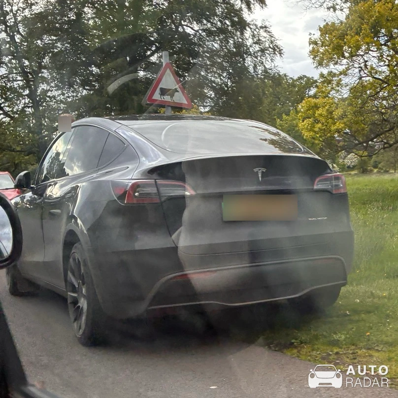 Tesla Model Y spotted
