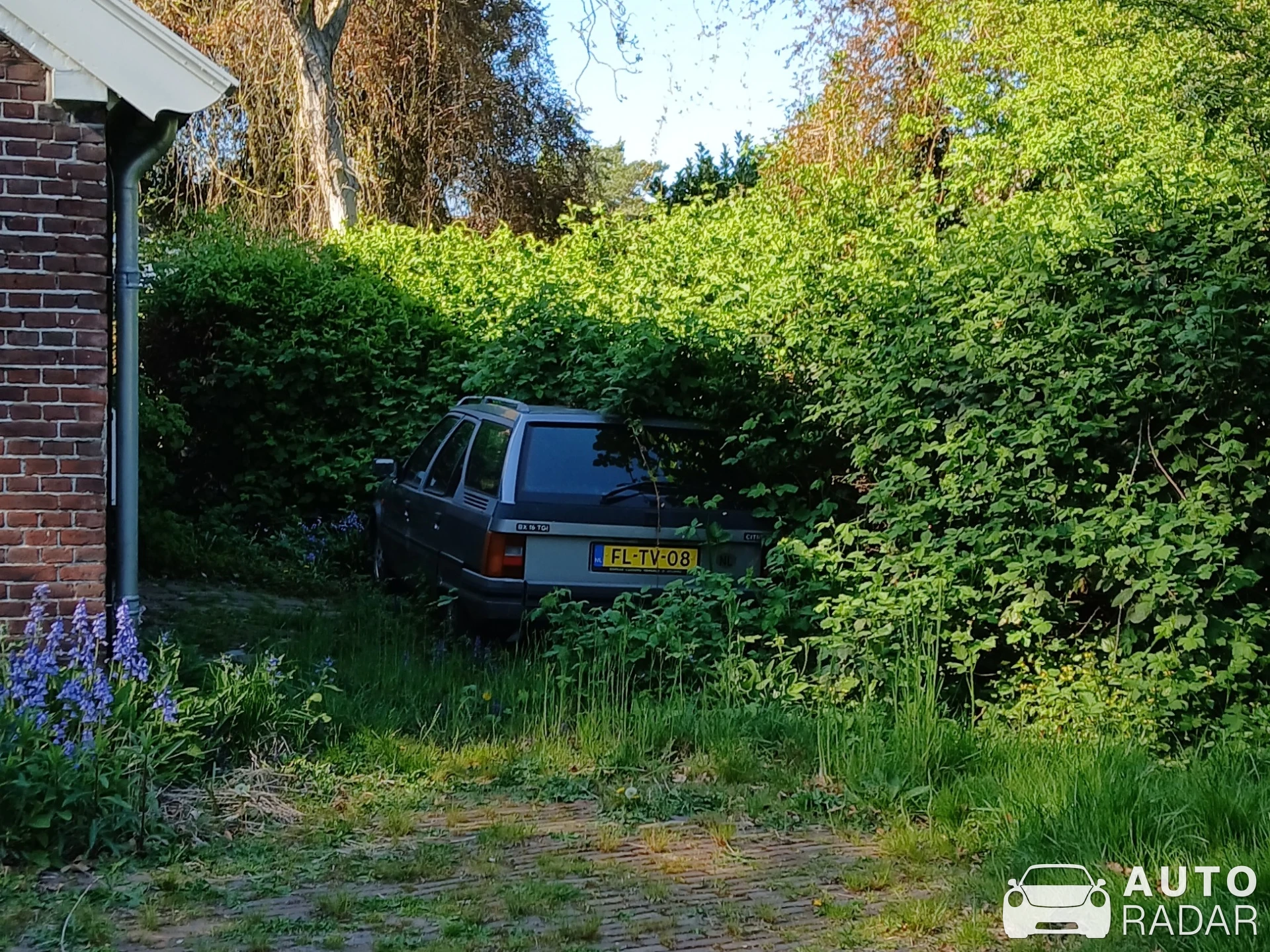 Citroën BX spotted in Hengelo