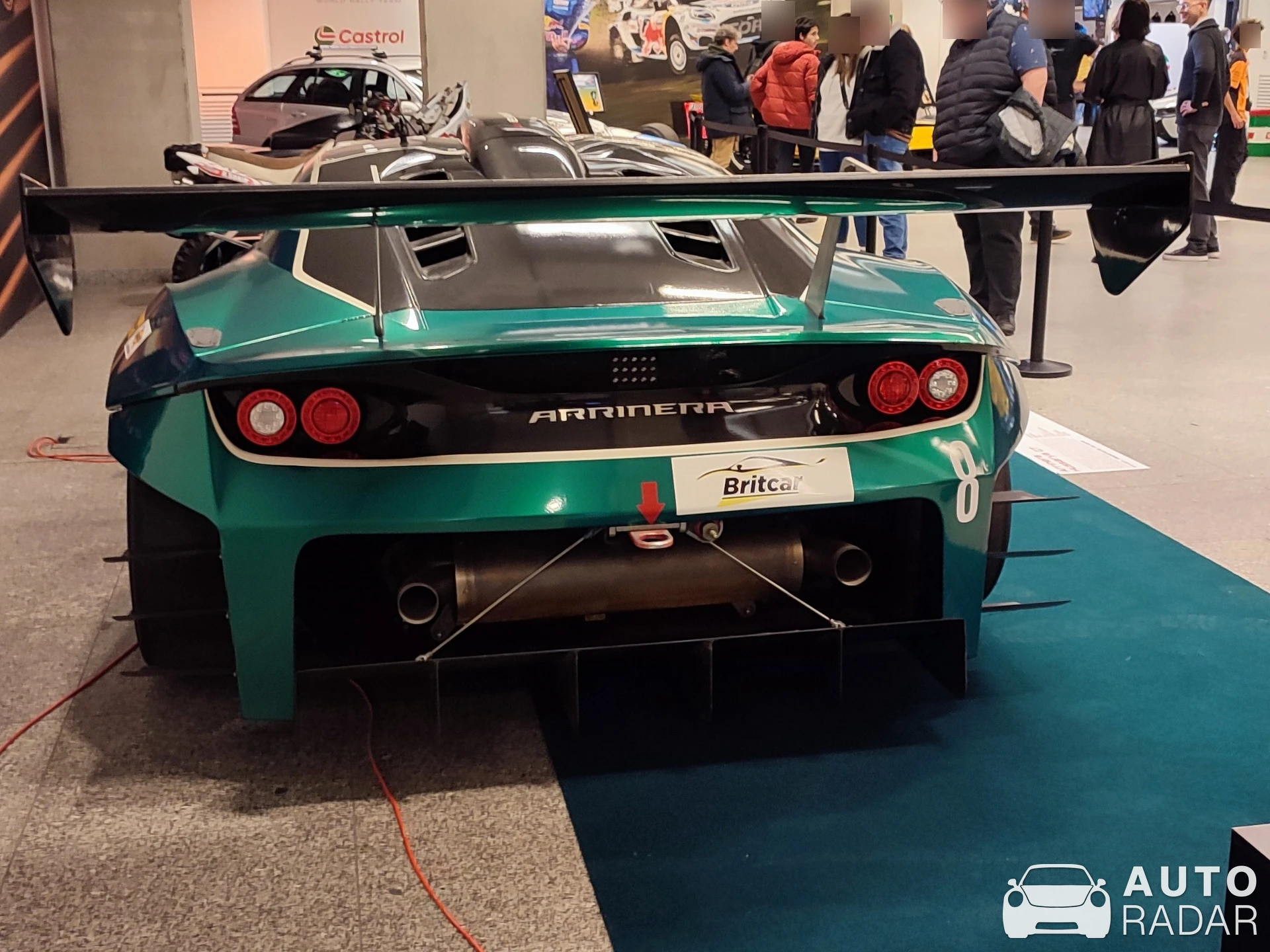 Arrinera Hussarya spotted in Warszawa