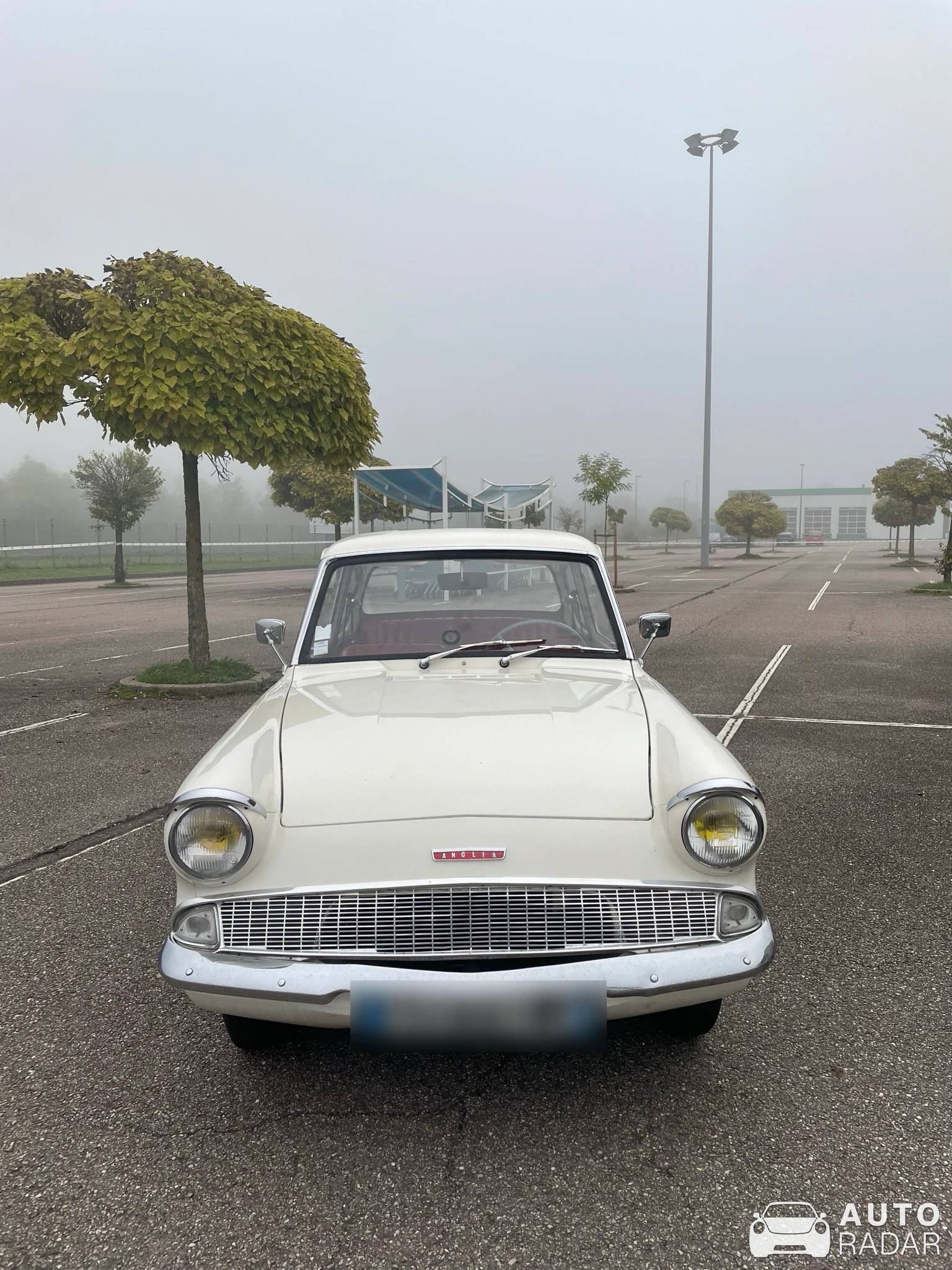 Ford Anglia 100E spotted in Dommartin-lès-Toul