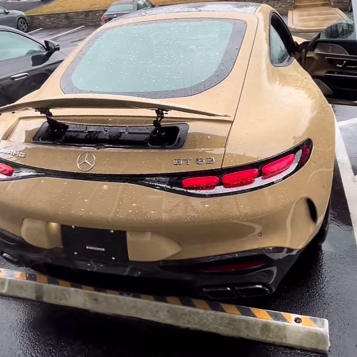 Mercedes-AMG GT 63 S C192