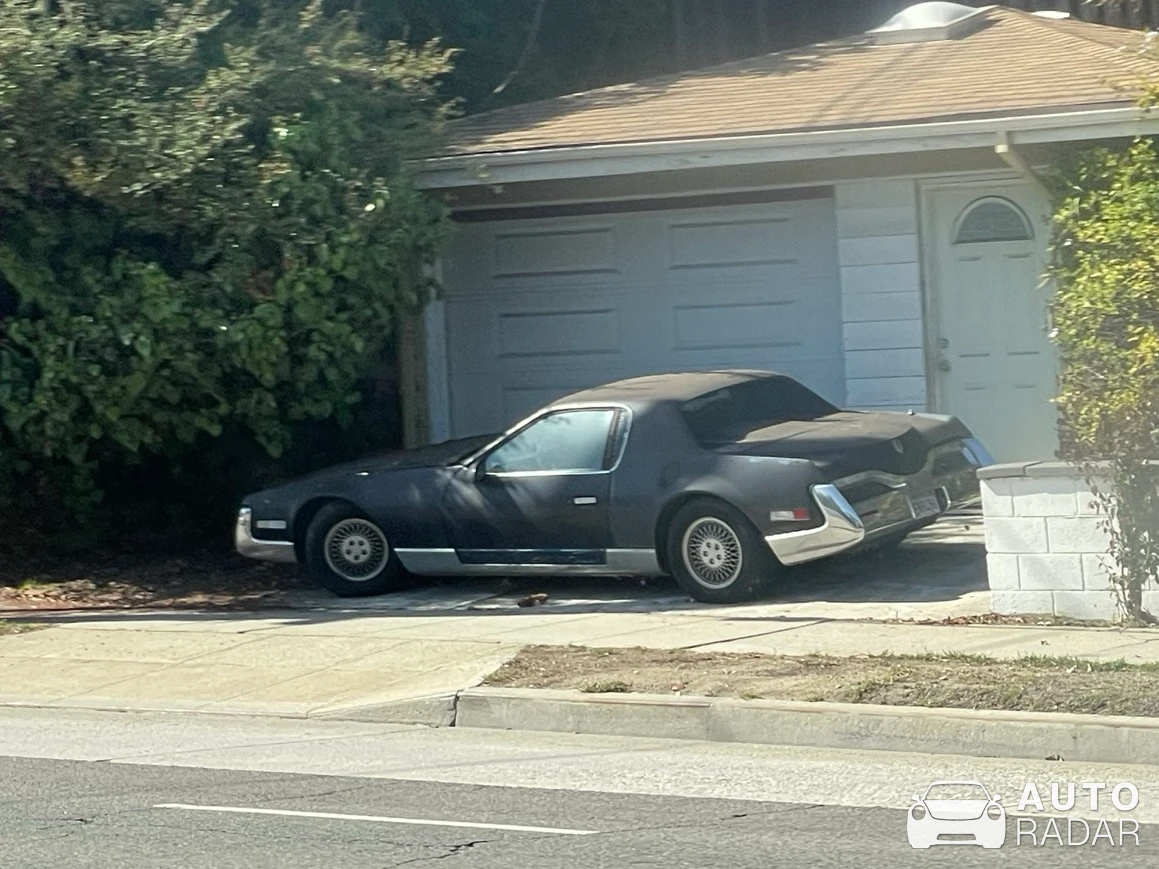 Zimmer Quicksilver spotted in Los Angeles