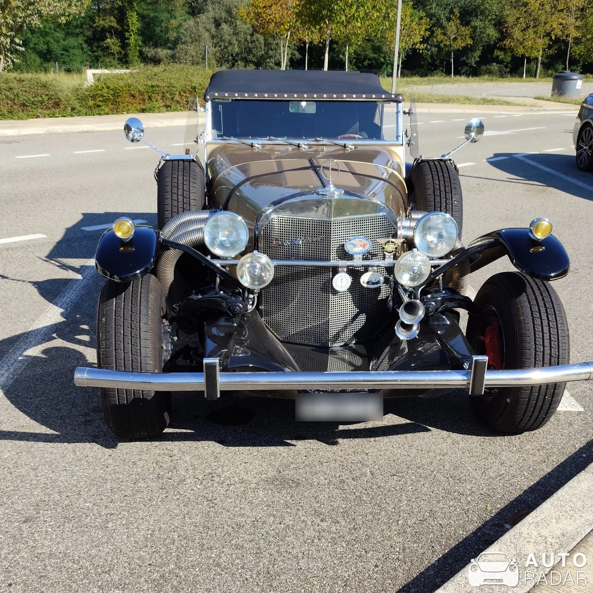 Excalibur Series II spotted in Poliénas