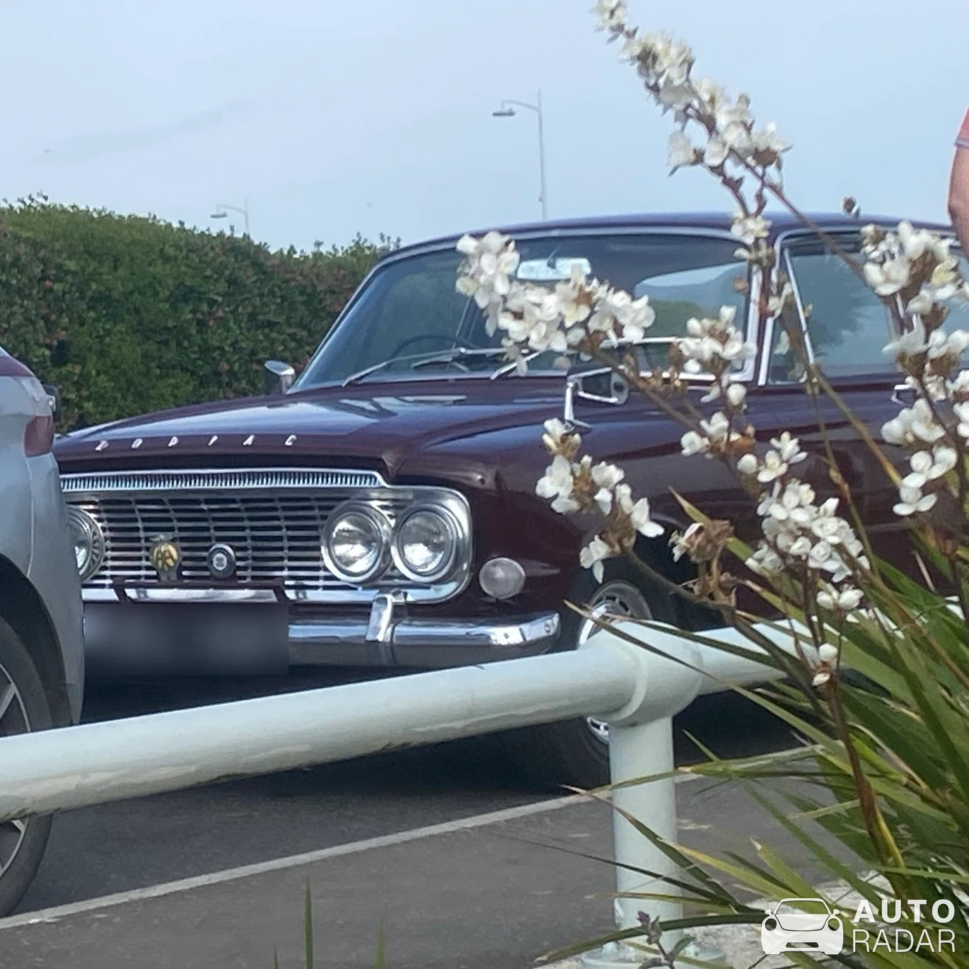 Ford Zodiac spotted in Warrenpoint