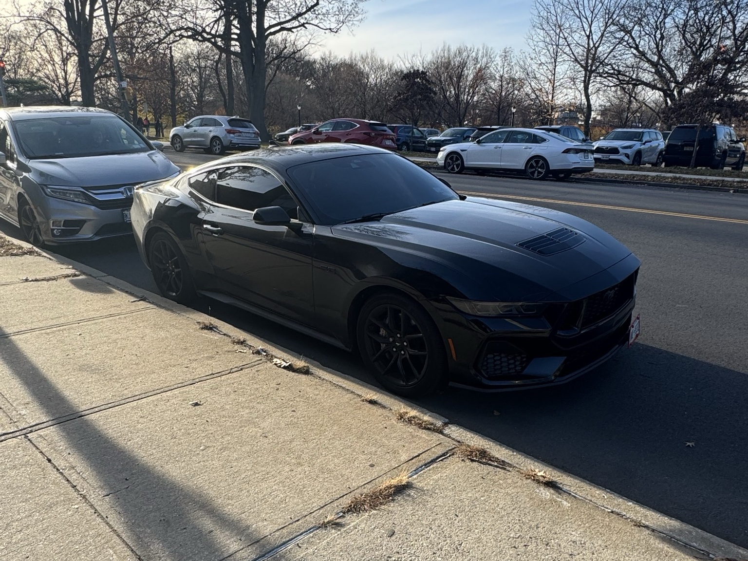 Ford Mustang GT S650