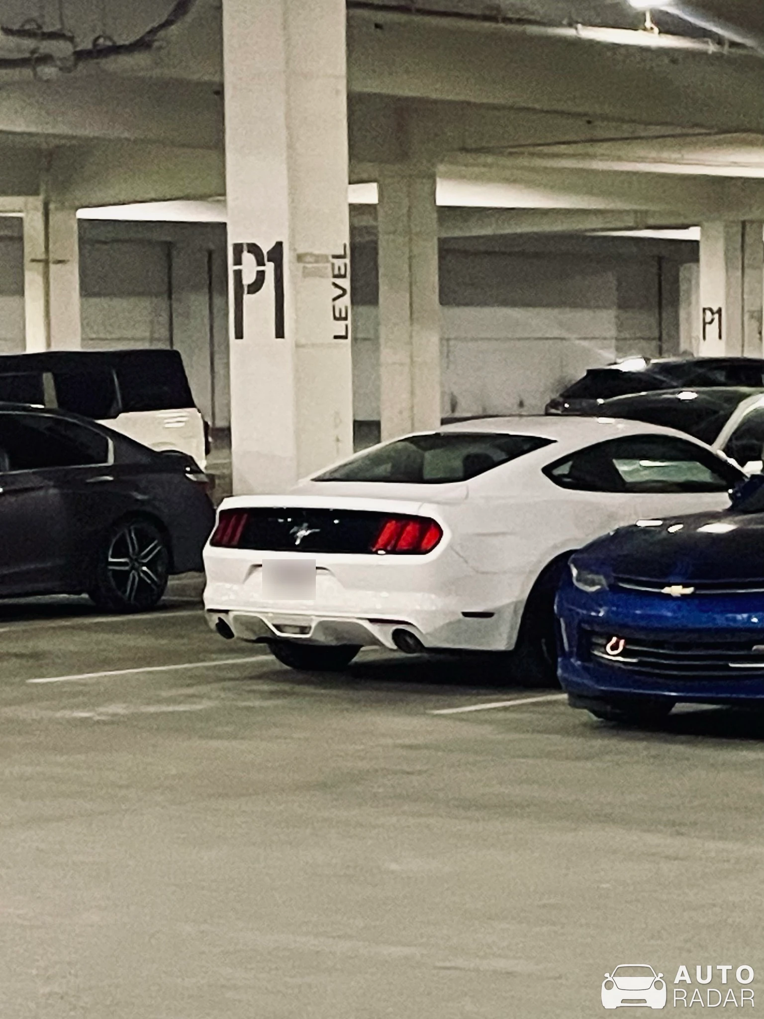Ford Mustang spotted in Butler County, United States