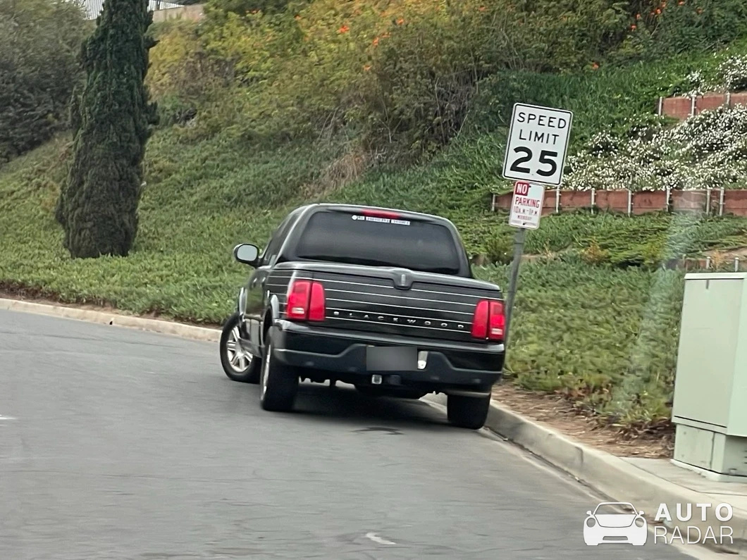 Lincoln Blackwood spotted in Torrance